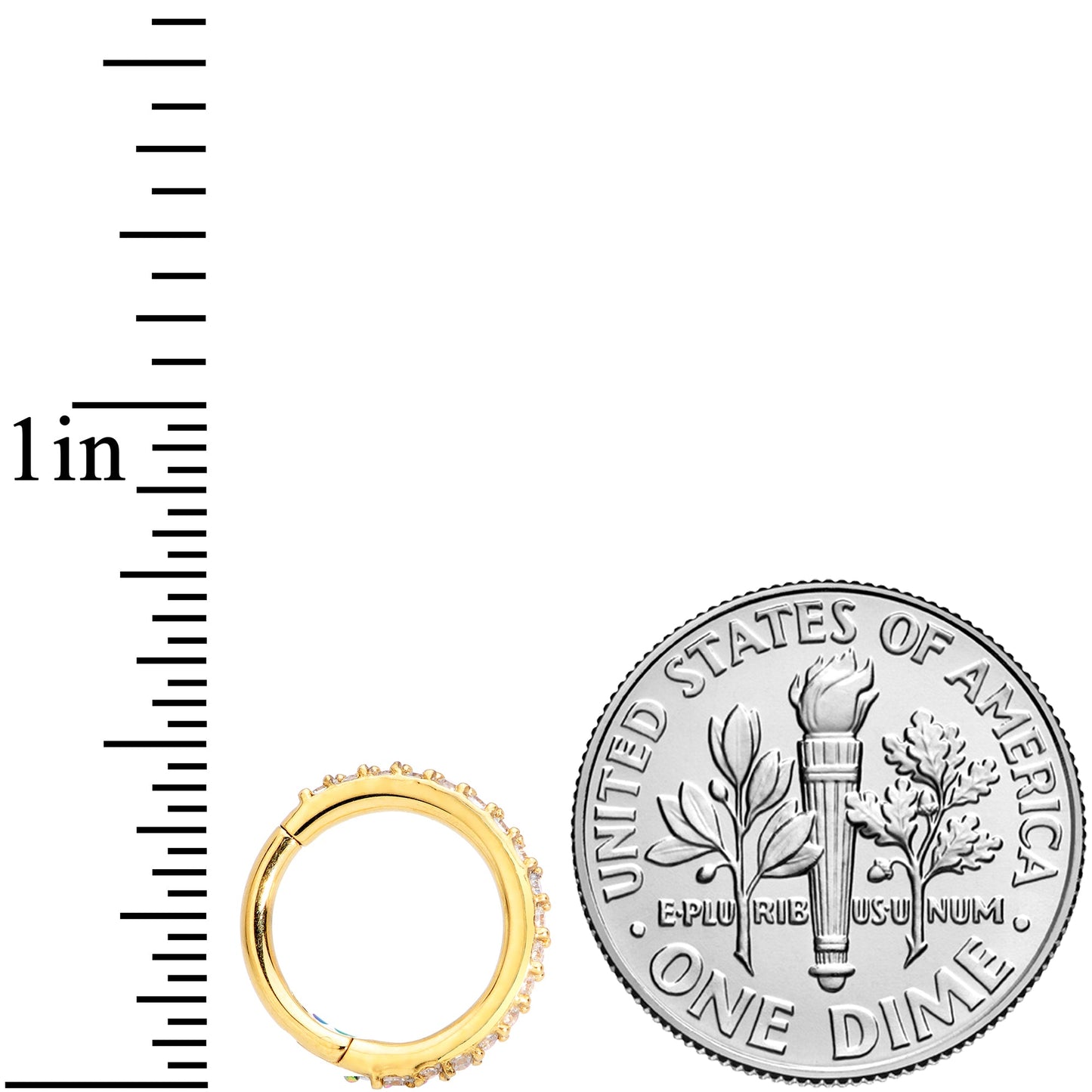 16G 5/16 Clear CZ Gem Gold Tone Hinged Segment Ring