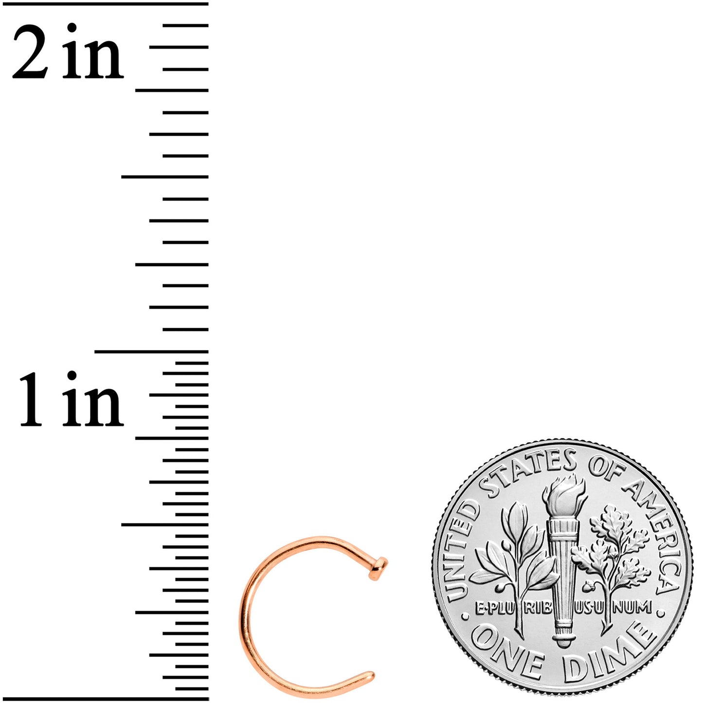 18G 3/8 Rose Gold Tone PVD Implant Grade Titanium Disc Nose Hoop