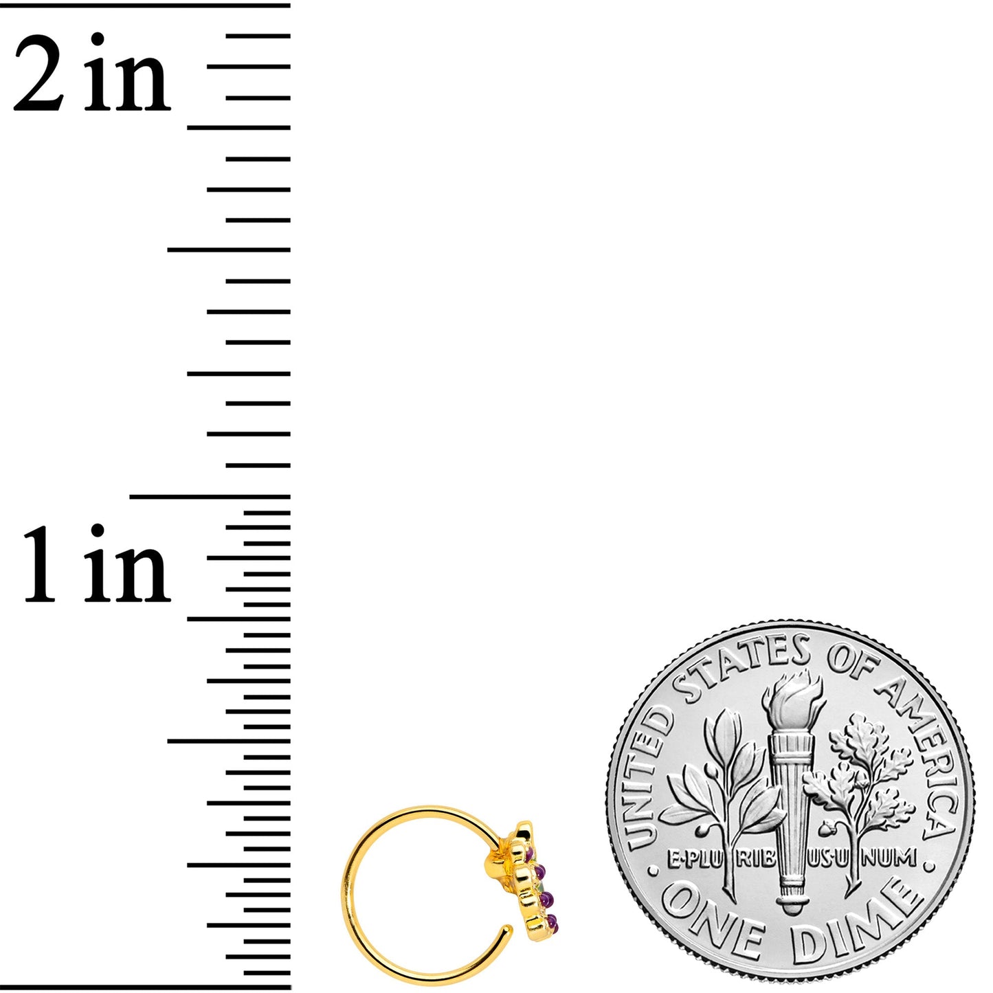 20G 5/16 Gold Tone Yummy Grapes Nose Hoop