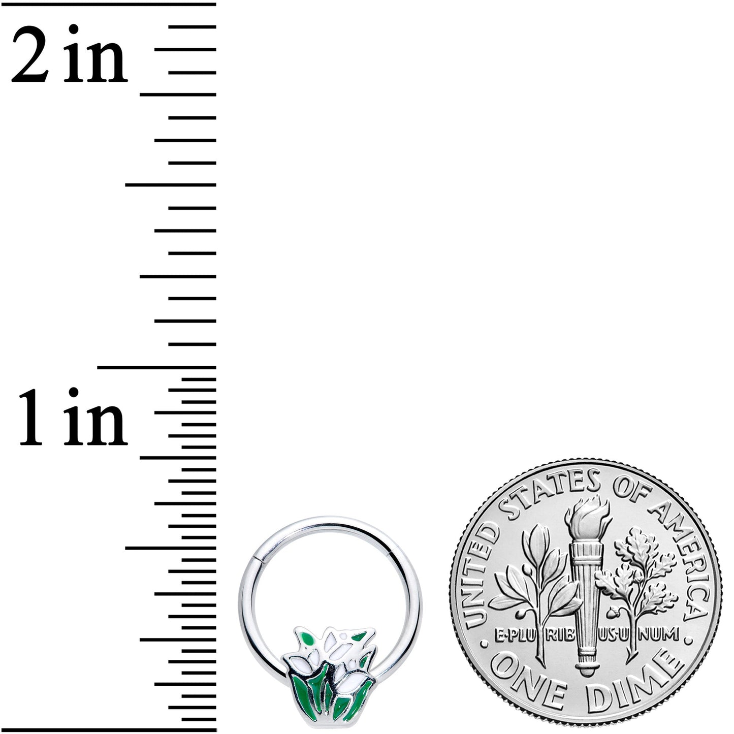 16G 3/8 Springtime White Tulip Flowers Hinged Segment Ring