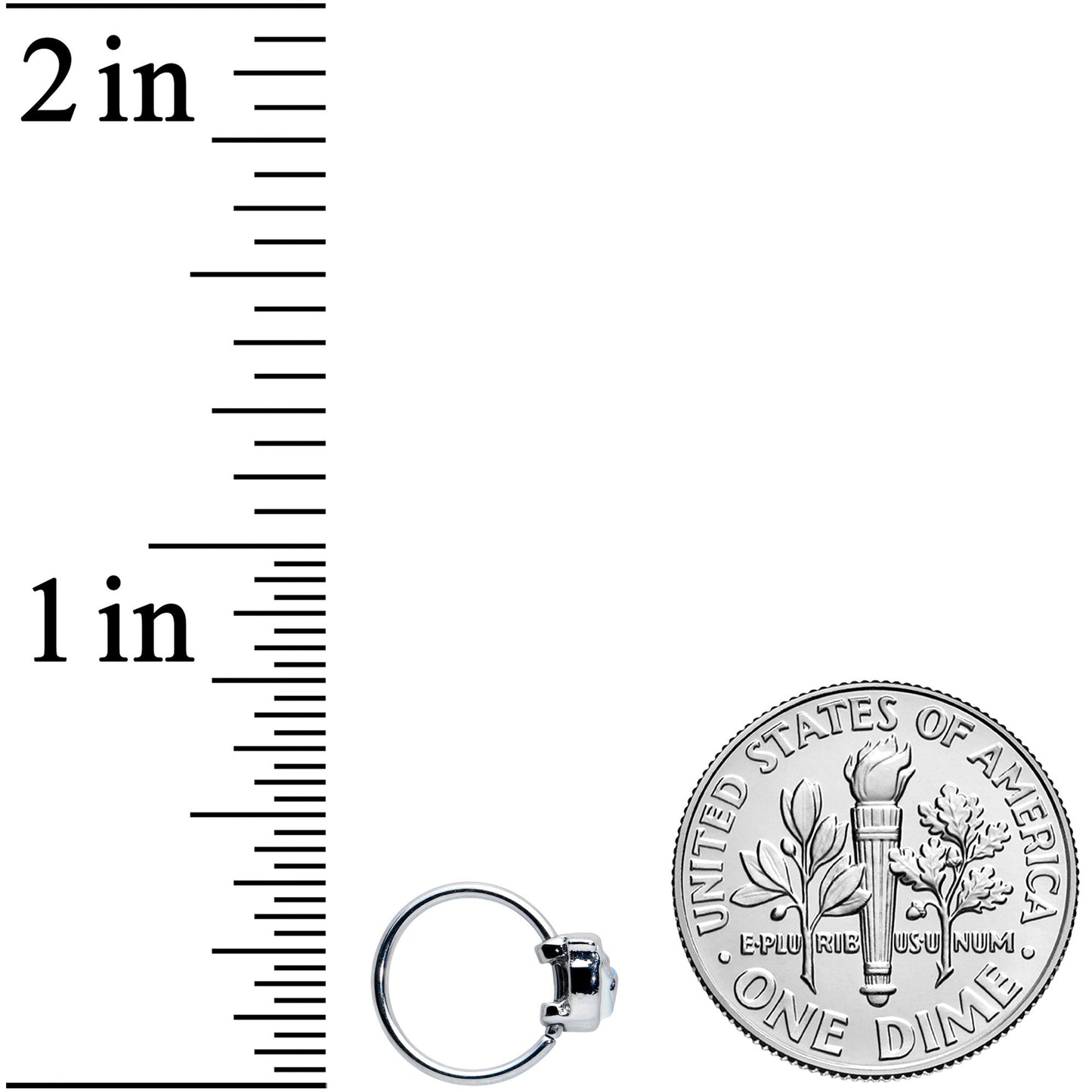 20G 5/16 Happy Little Blue Bird Nose Hoop