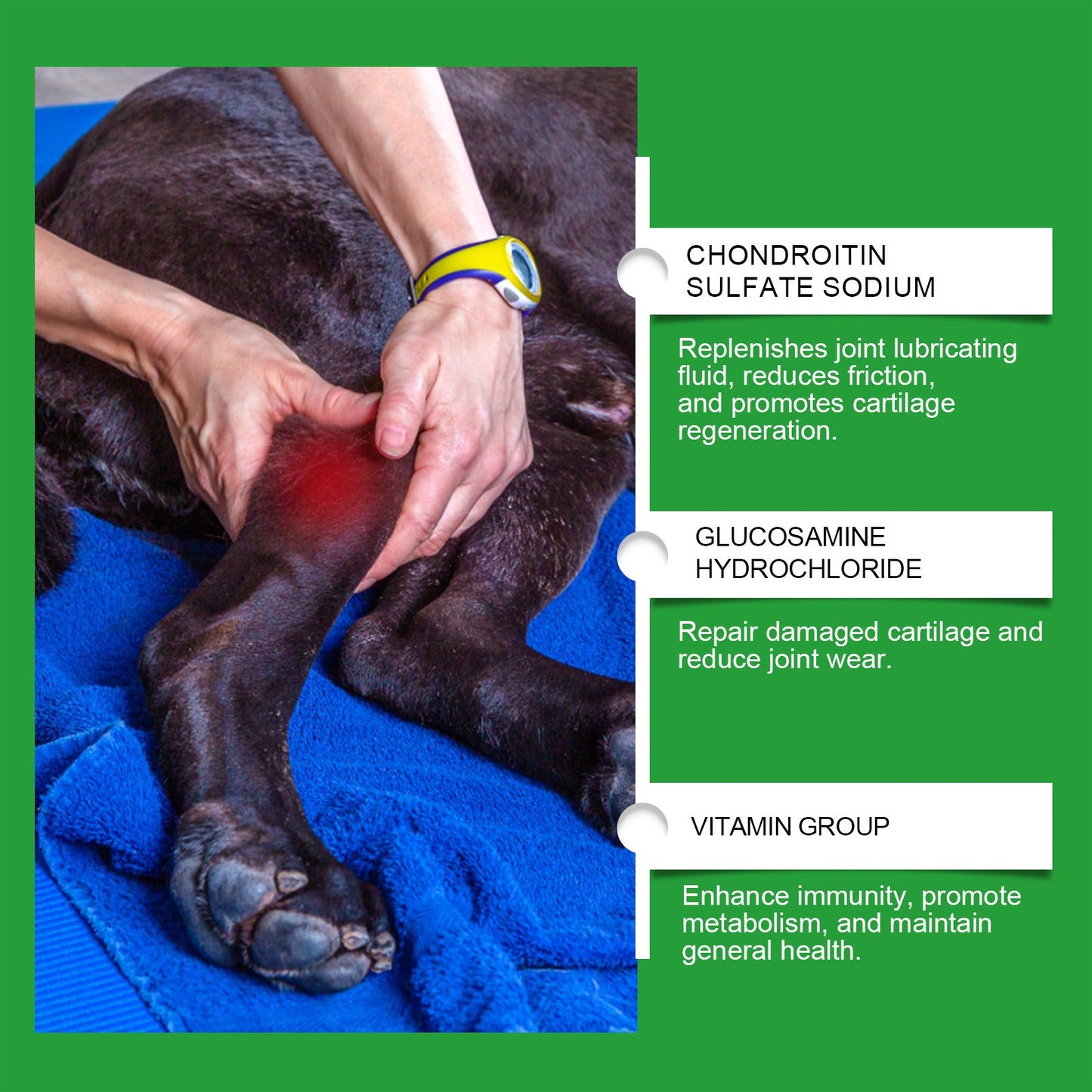 Canine Joint Care Tablets