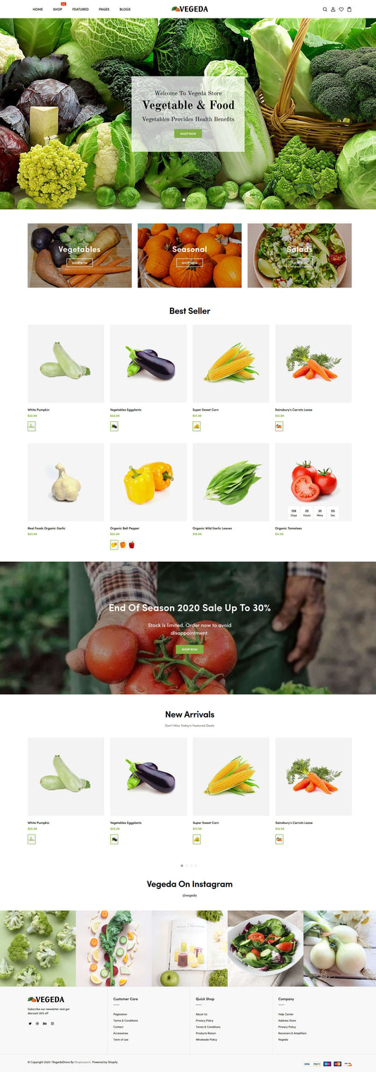 Shopify Theme - Vegeda