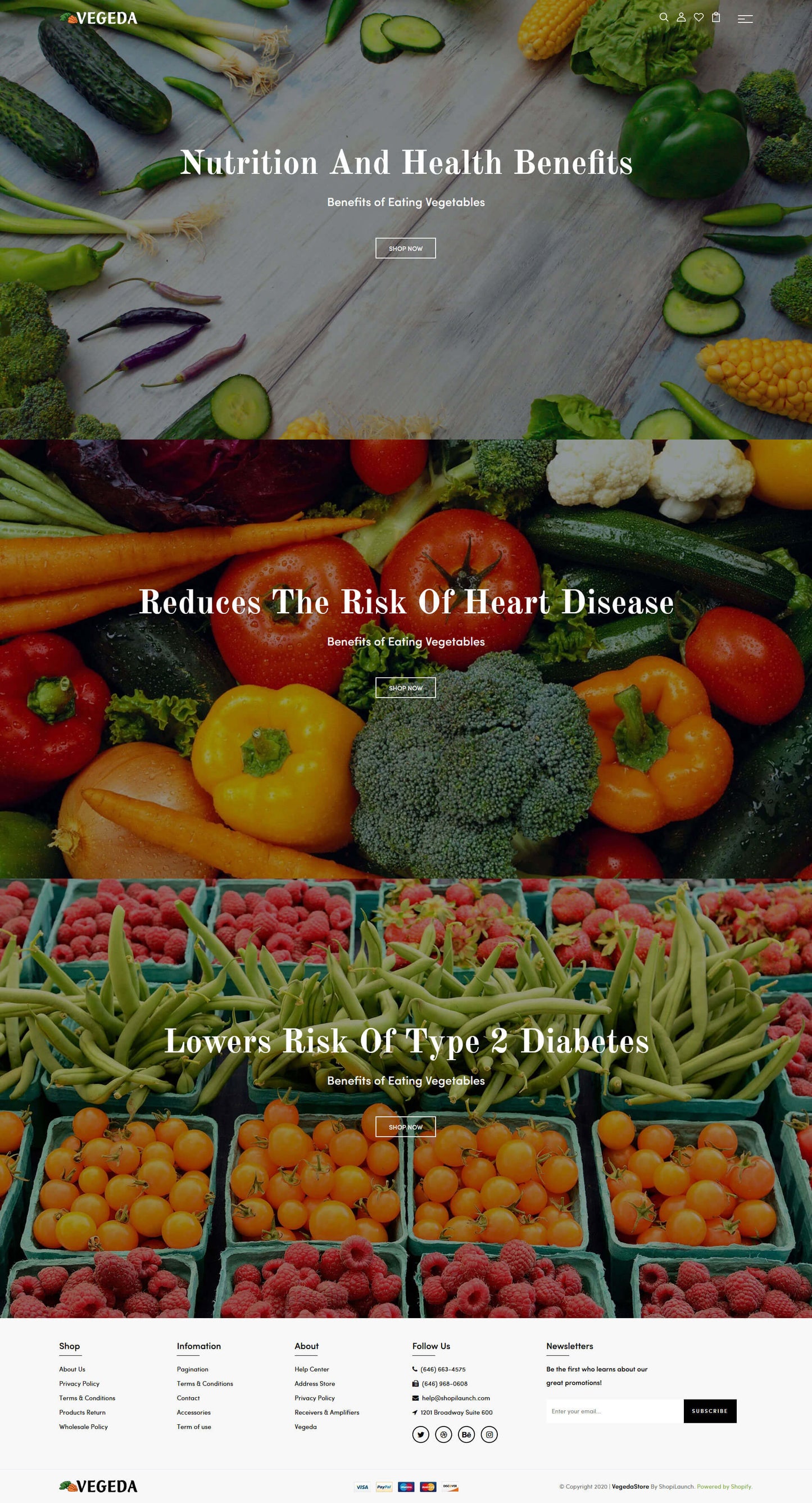 Shopify Theme - Vegeda