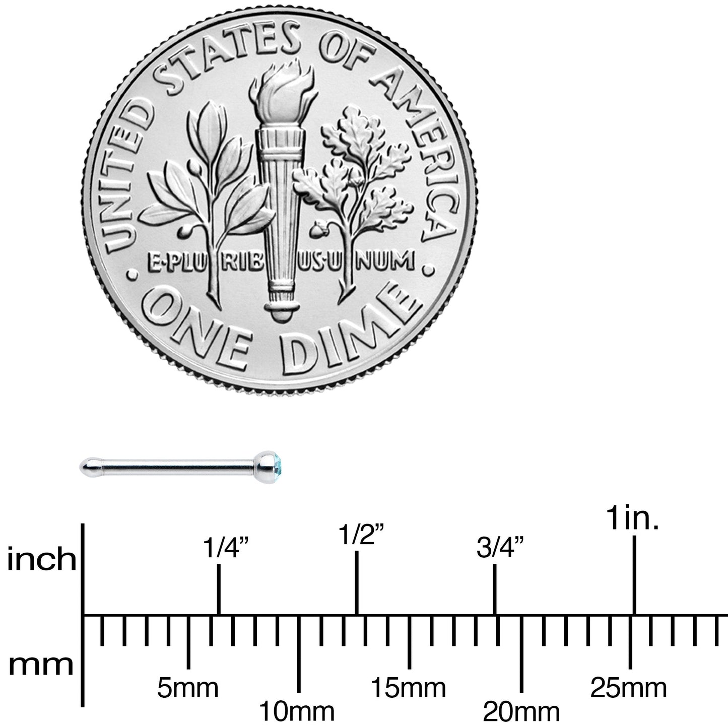 20G Stainless Steel Aqua Gem Micro Nose Bone