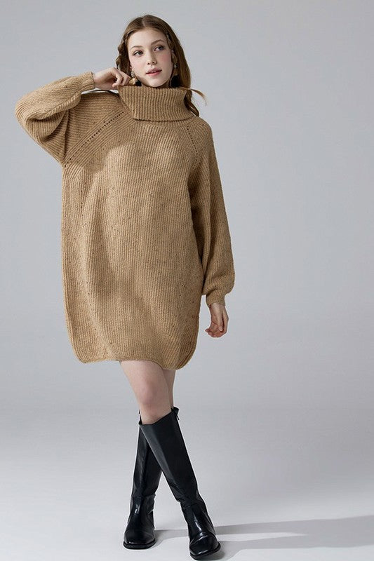 Plus Turtleneck Balloon Confetti Sweater Dress