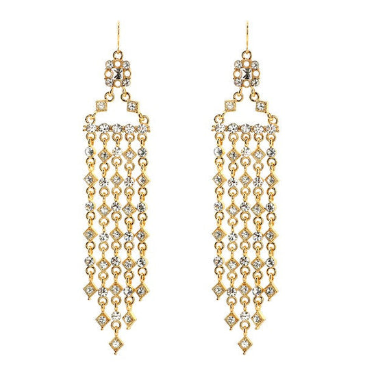 Glamorous Indian Theme Tassel Earrings