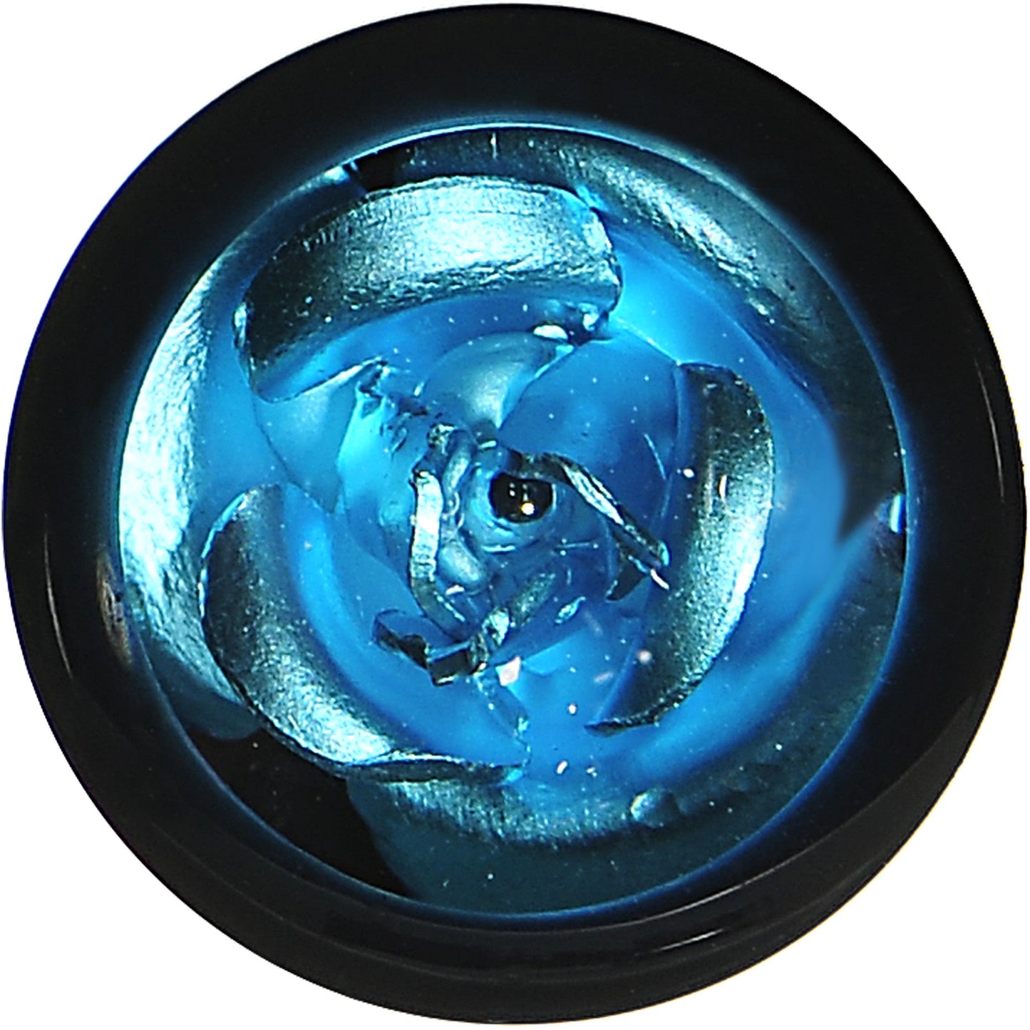 0G Black Acrylic Aqua Rose Flower Saddle Plug Set