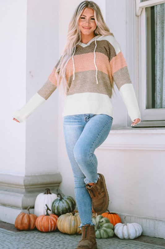 Parker Knitted Drawstring Hooded Sweater