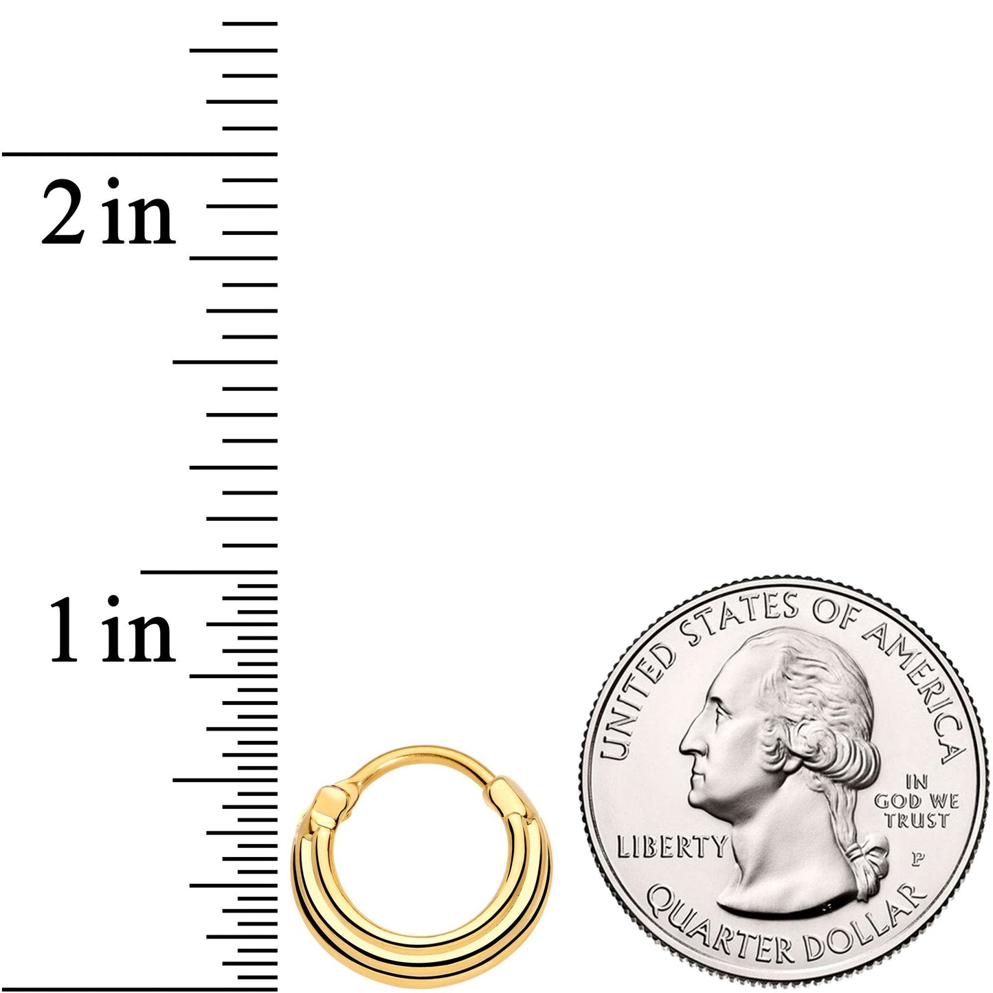 16G 3/8 Gold Tone Delicate Grooves Hinged Septum Ring