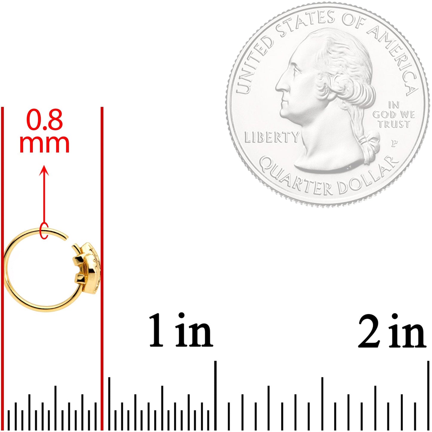 20G 5/16 Gold Tone Feather Seamless Circular Ring