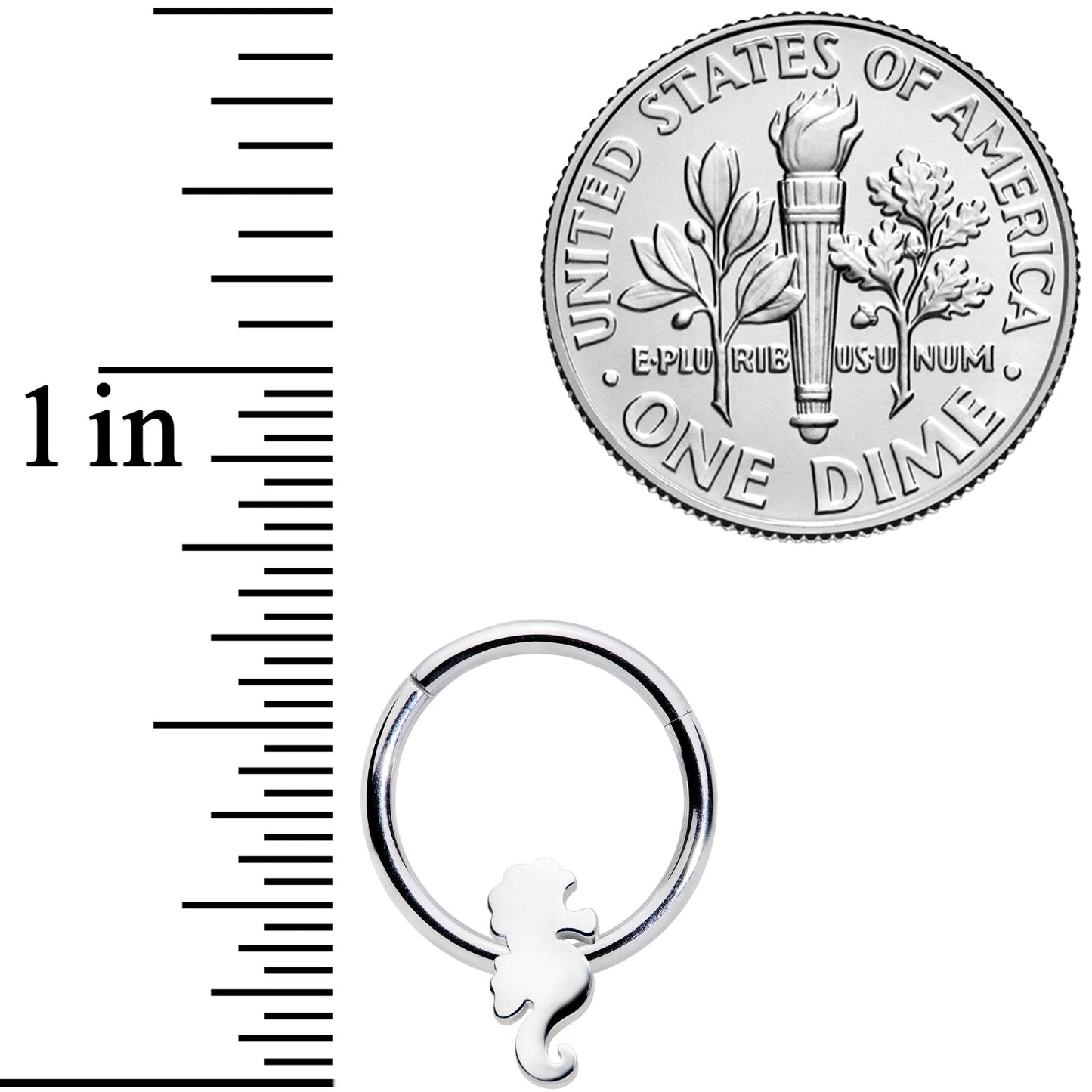 16G 3/8 Steel Nautical Seahorse Hinged Segment Ring