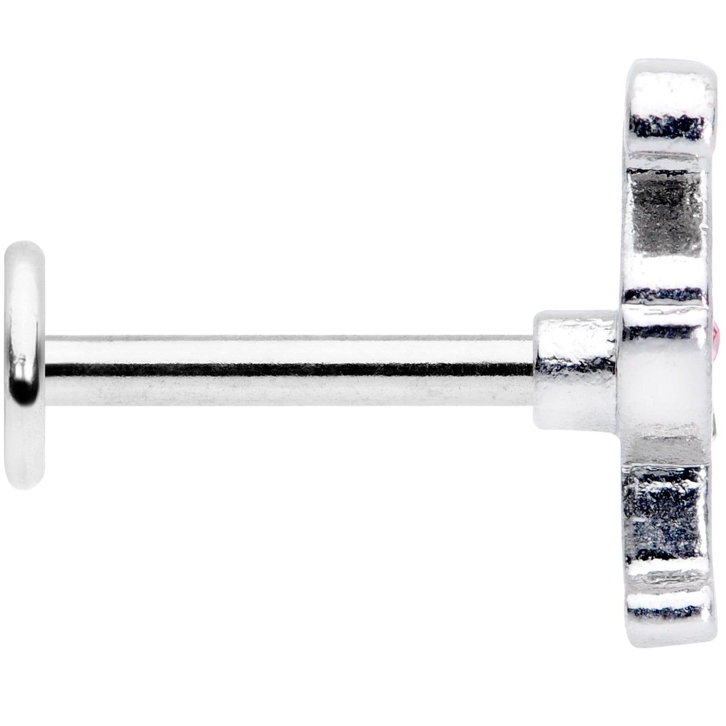 16G 5/16 Pink Blue Gem Fetching Flamingo Labret Monroe Tragus