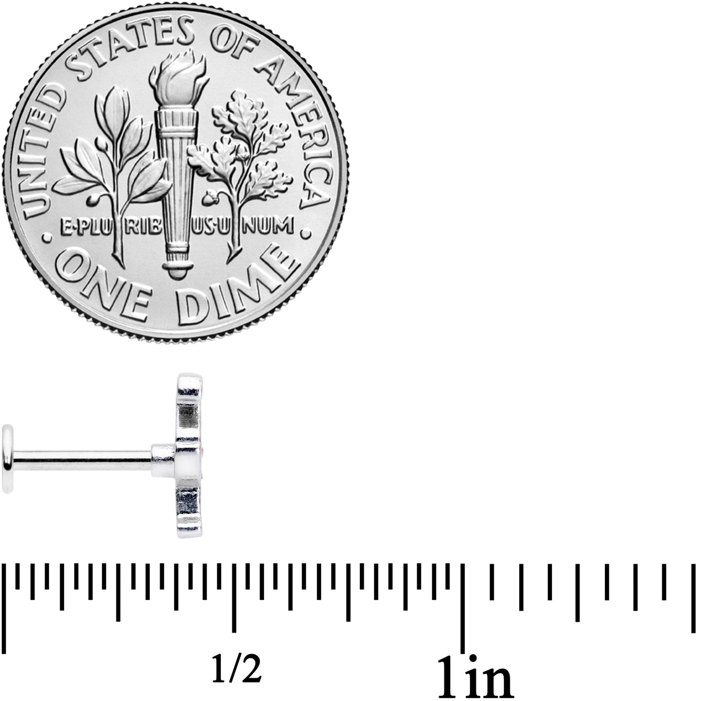 16G 5/16 Pink Blue Gem Fetching Flamingo Labret Monroe Tragus