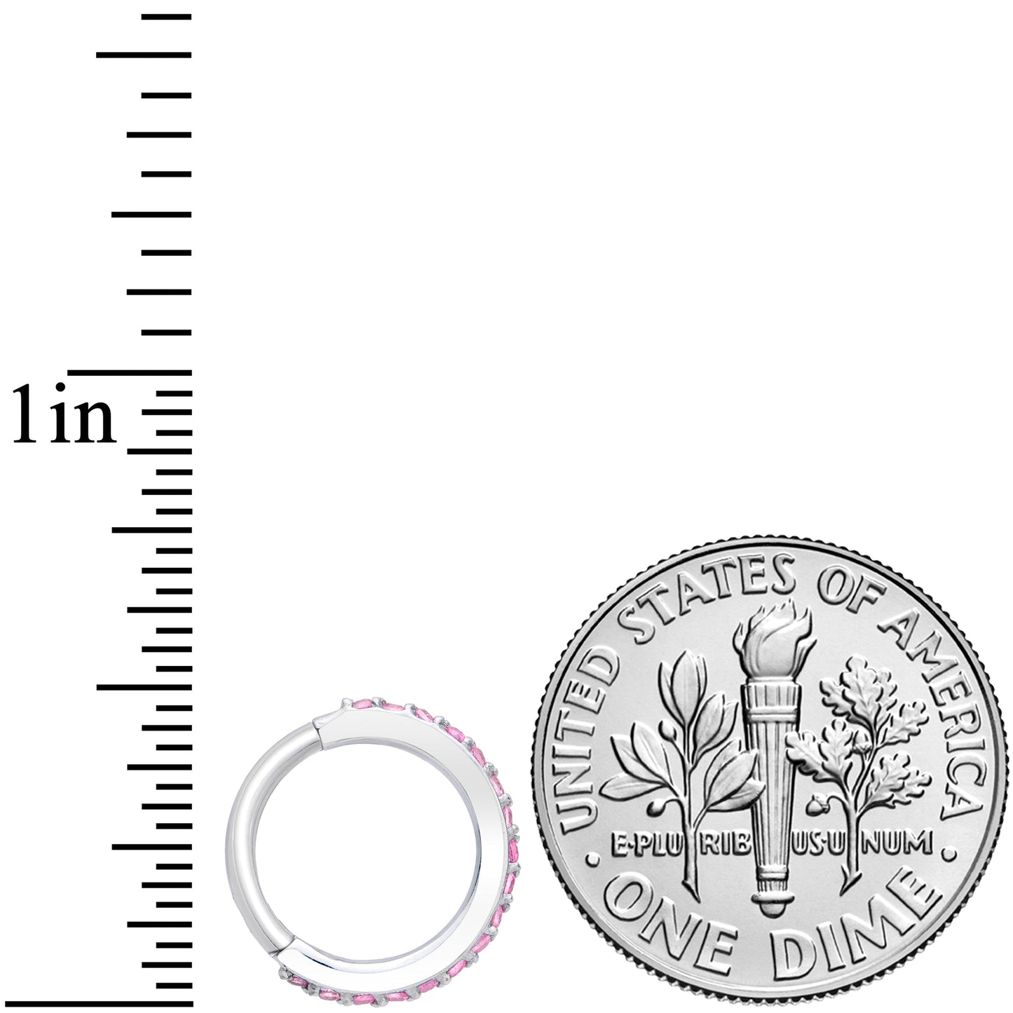 16G 5/16 Pink CZ Gem Stainless Steel Hinged Segment Ring