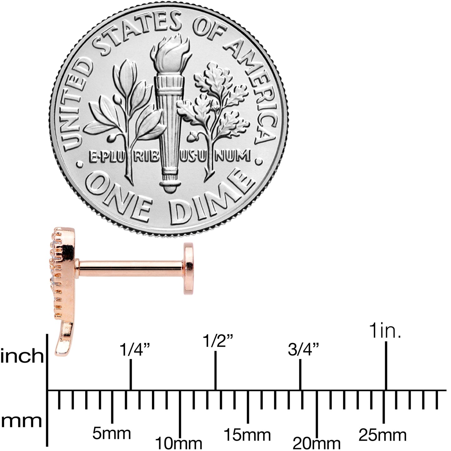 16G 5/16 Clear CZ Gem Rose Gold Tone Internal Thread Wing Labret