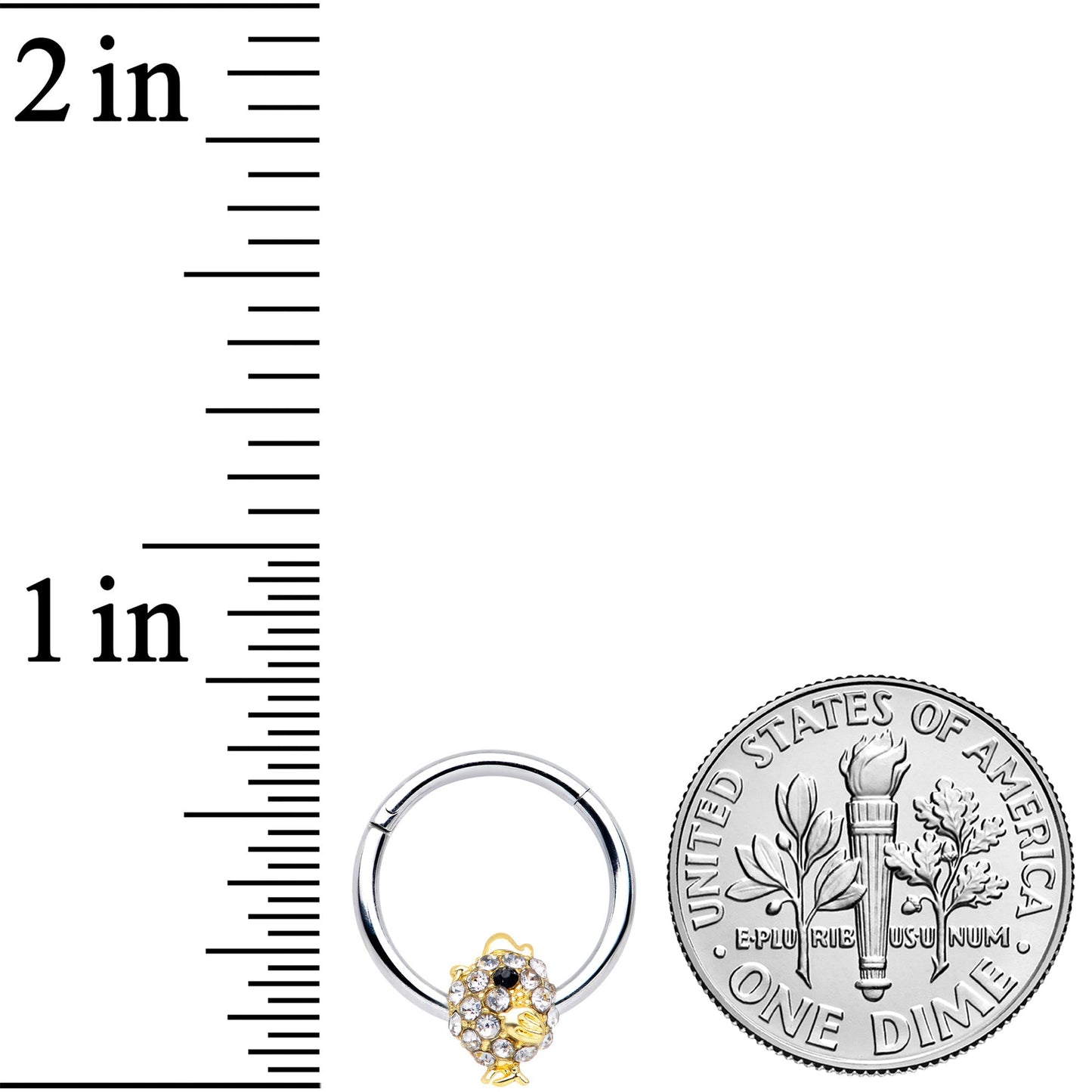 16G 3/8 Clear Black Gem Little Chick Septum Ring