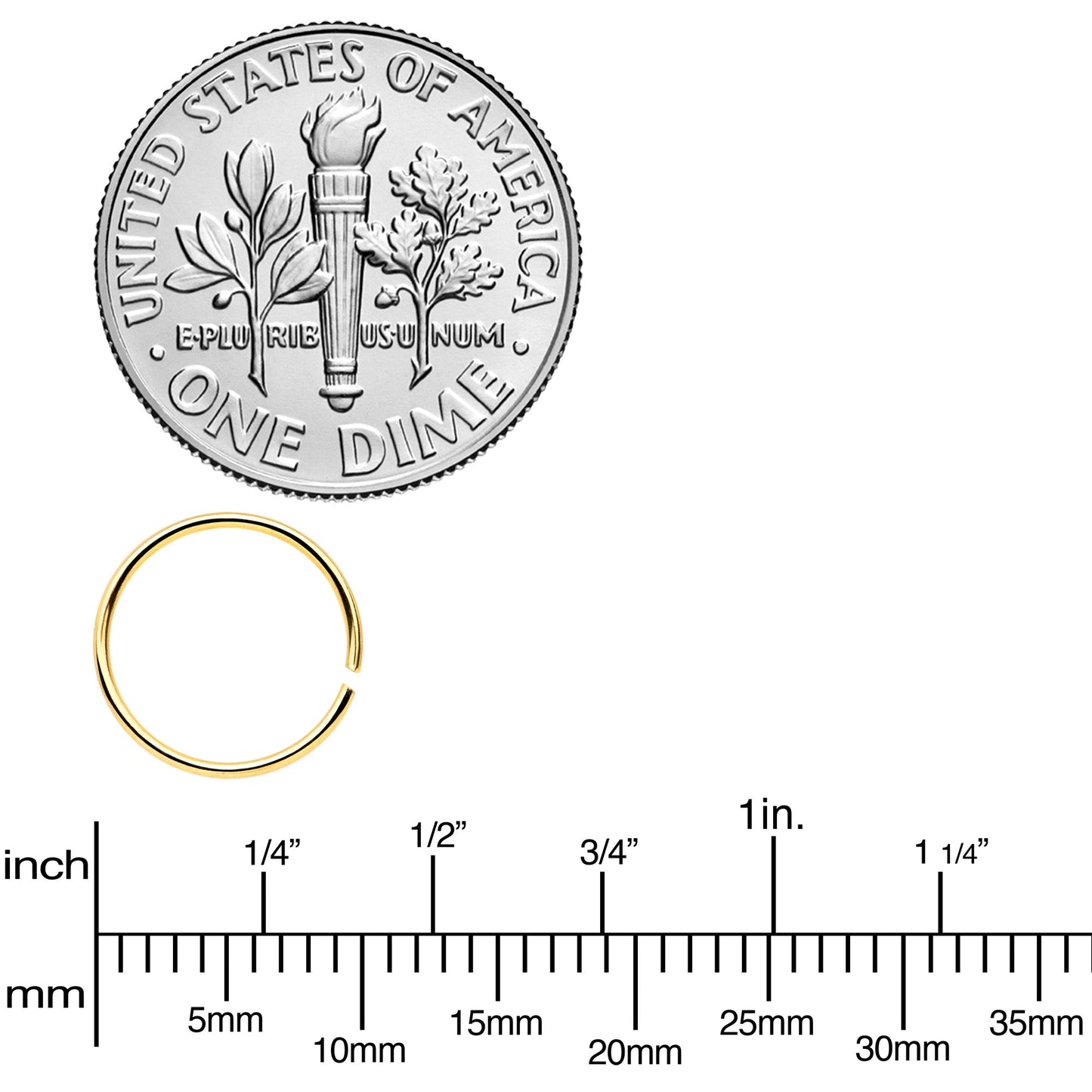 22G 5/16 Steel Gold Tone Anodized Seamless Circular Ring Set of 12