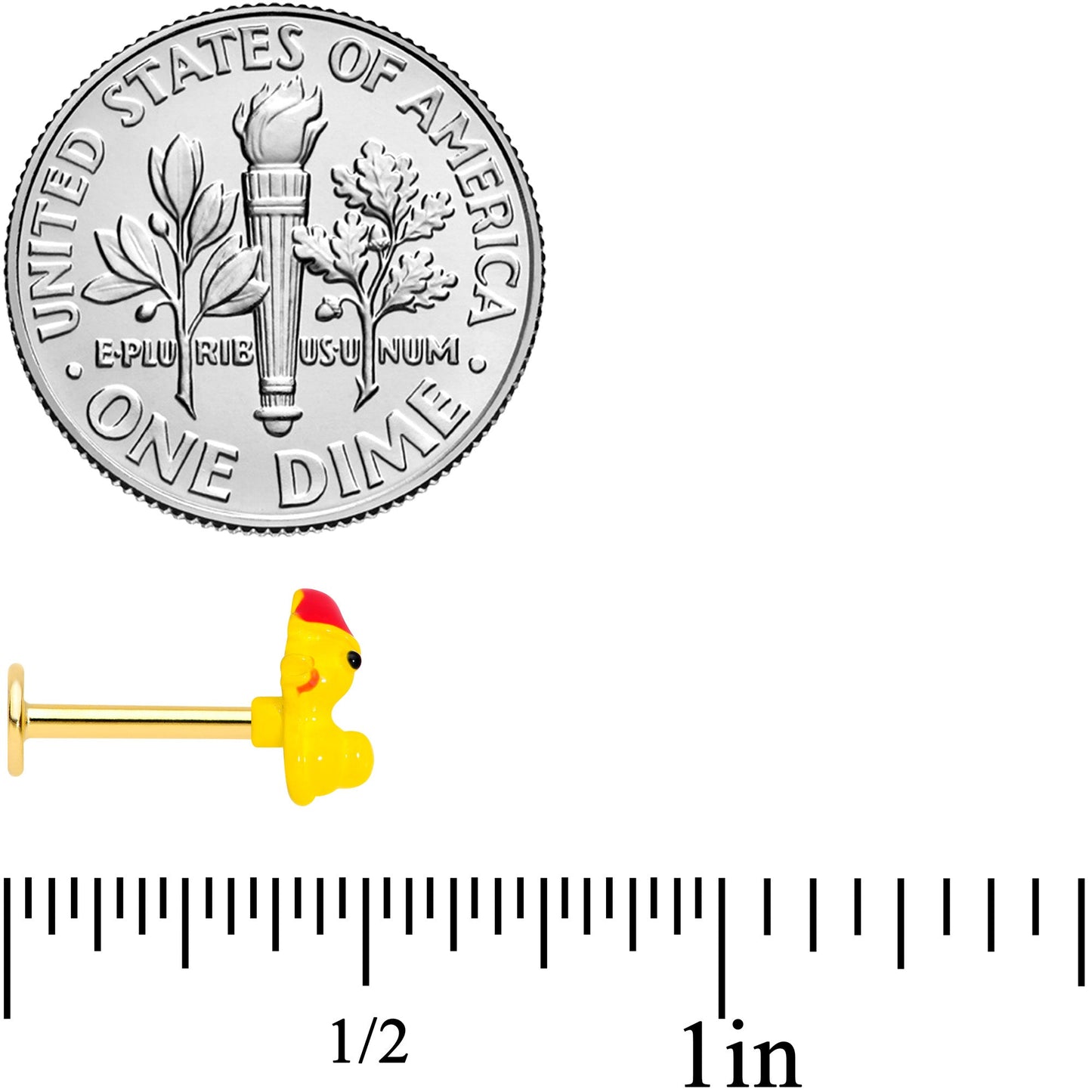 16G 5/16 Gold Tone Sleepy Duck Labret Monroe Tragus