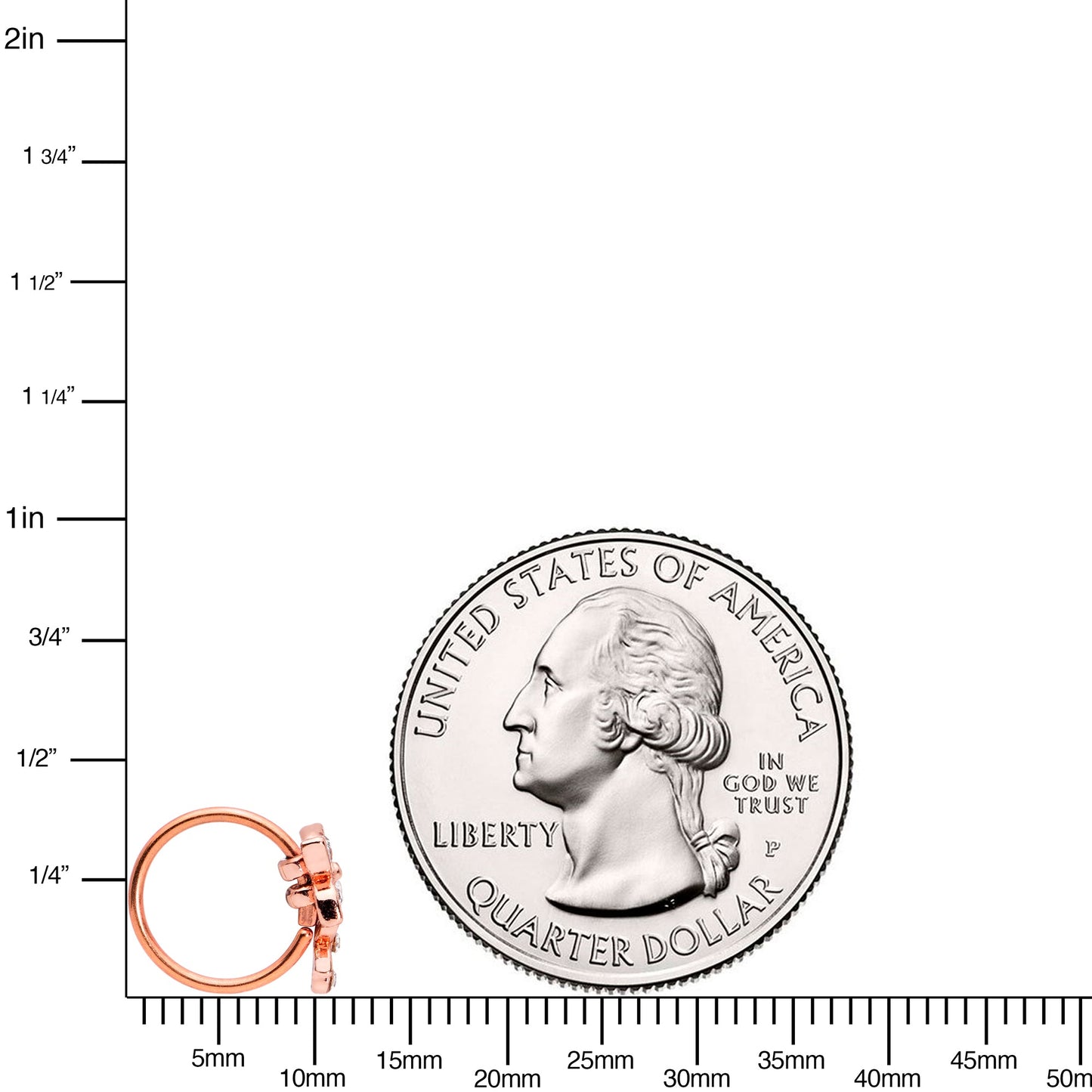 20G 5/16 Clear Gem Rose Gold Tone Glam Butterfly Flower Nose Hoop