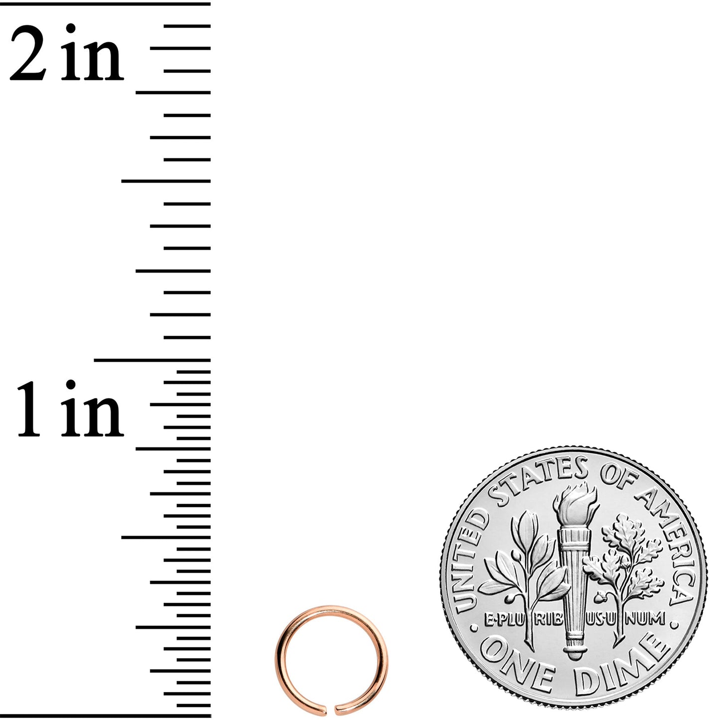 20G 1/4 Rose Gold Tone PVD Grade 23 Titanium Bendable Hoop Ring