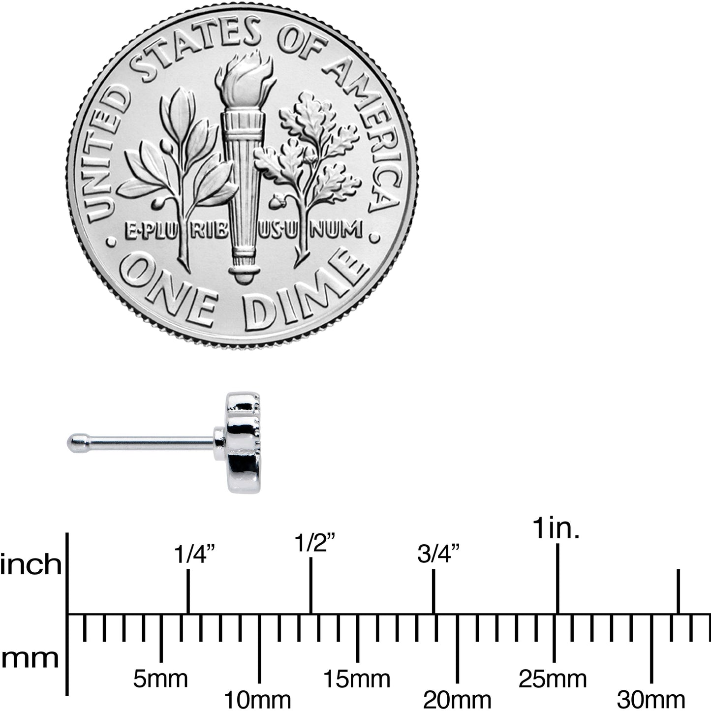 20G 1/4 Textured Black Paw Print Nose Bone