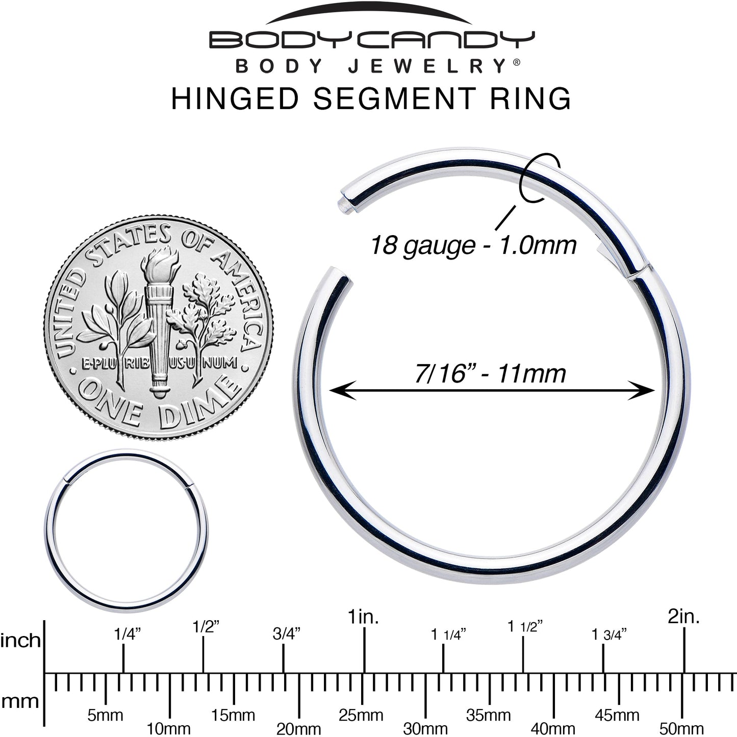 18G 7/16 316L Surgical Steel Precision Hinged Segment Hoop