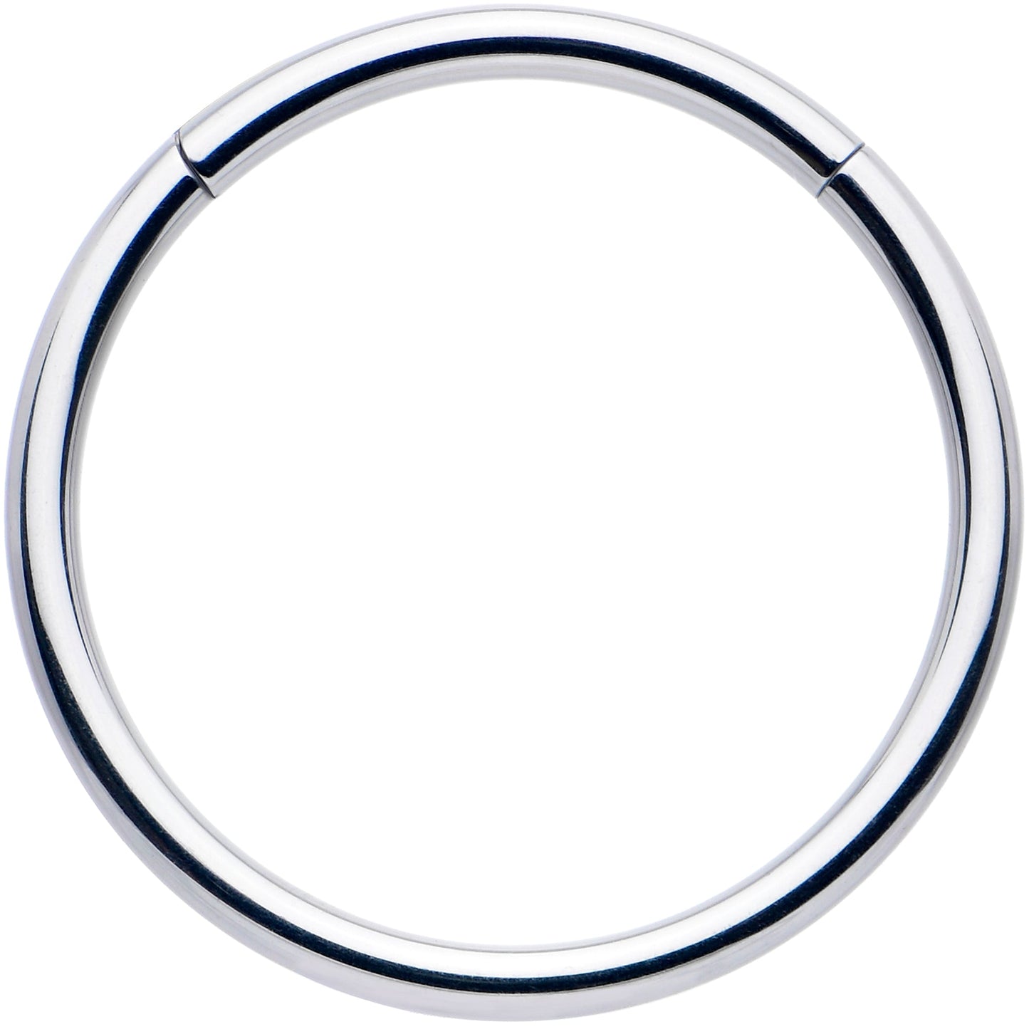 16G 13mm 316L Surgical Steel Precision Hinged Segment Hoop