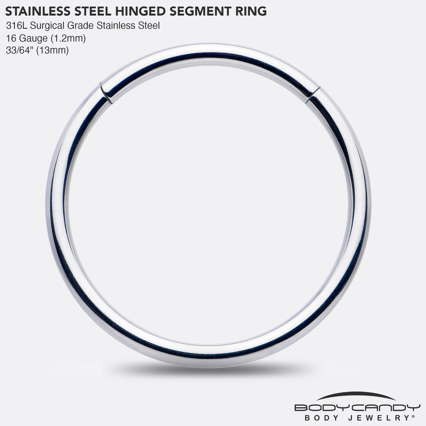 16G 13mm 316L Surgical Steel Precision Hinged Segment Hoop