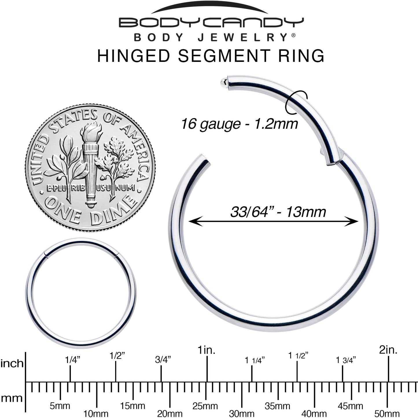 16G 13mm 316L Surgical Steel Precision Hinged Segment Hoop
