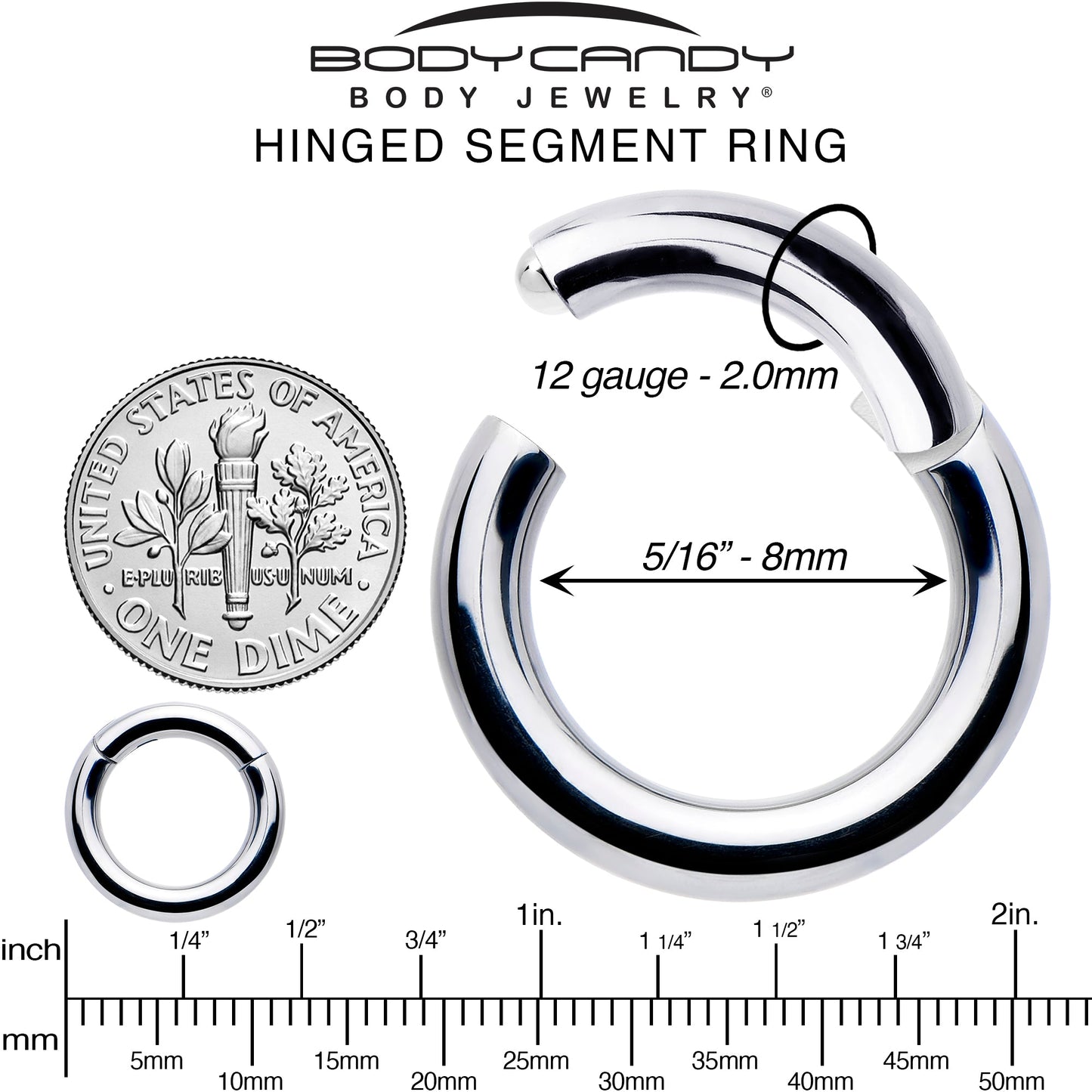 12G 5/16 316L Surgical Steel Precision Hinged Segment Hoop