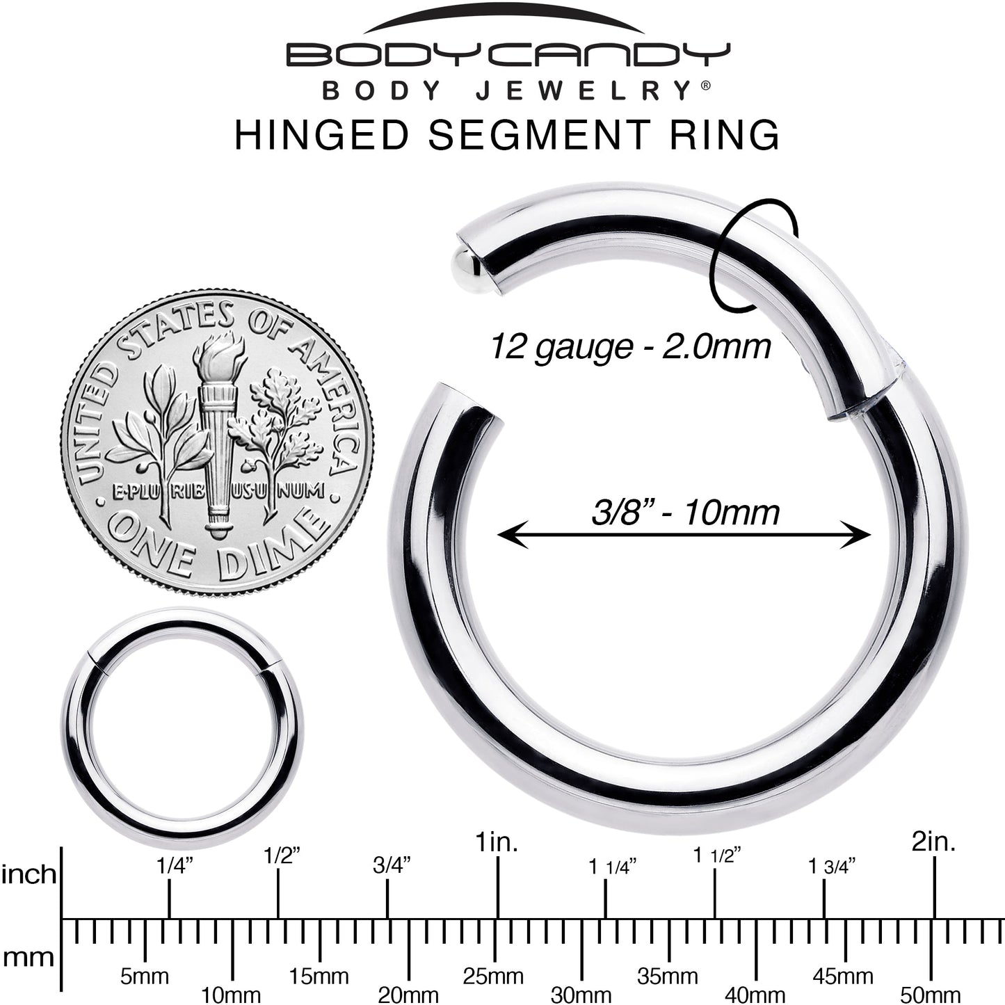 12G 3/8 316L Surgical Steel Precision Hinged Segment Hoop
