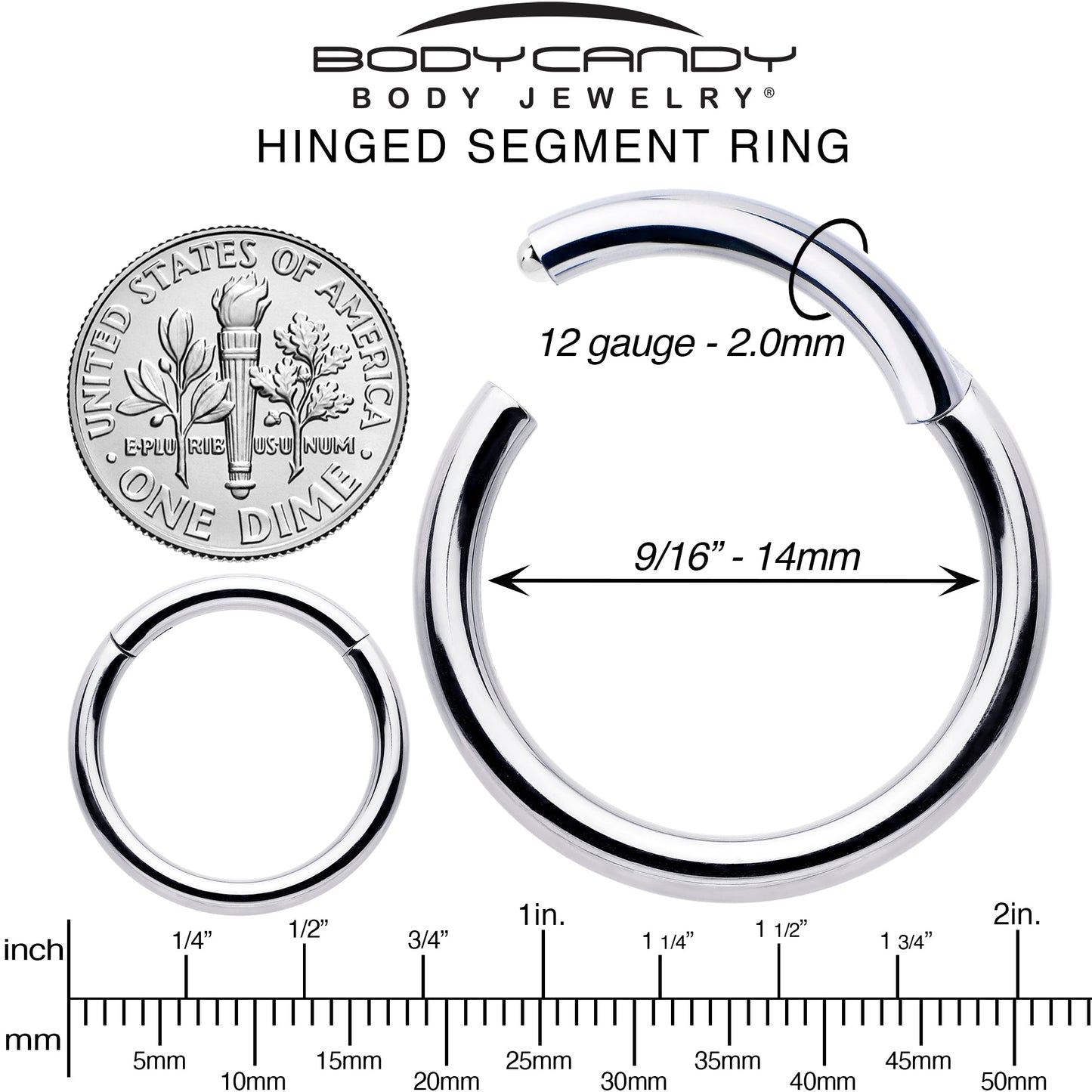 12G 9/16 316L Surgical Steel Precision Hinged Segment Hoop