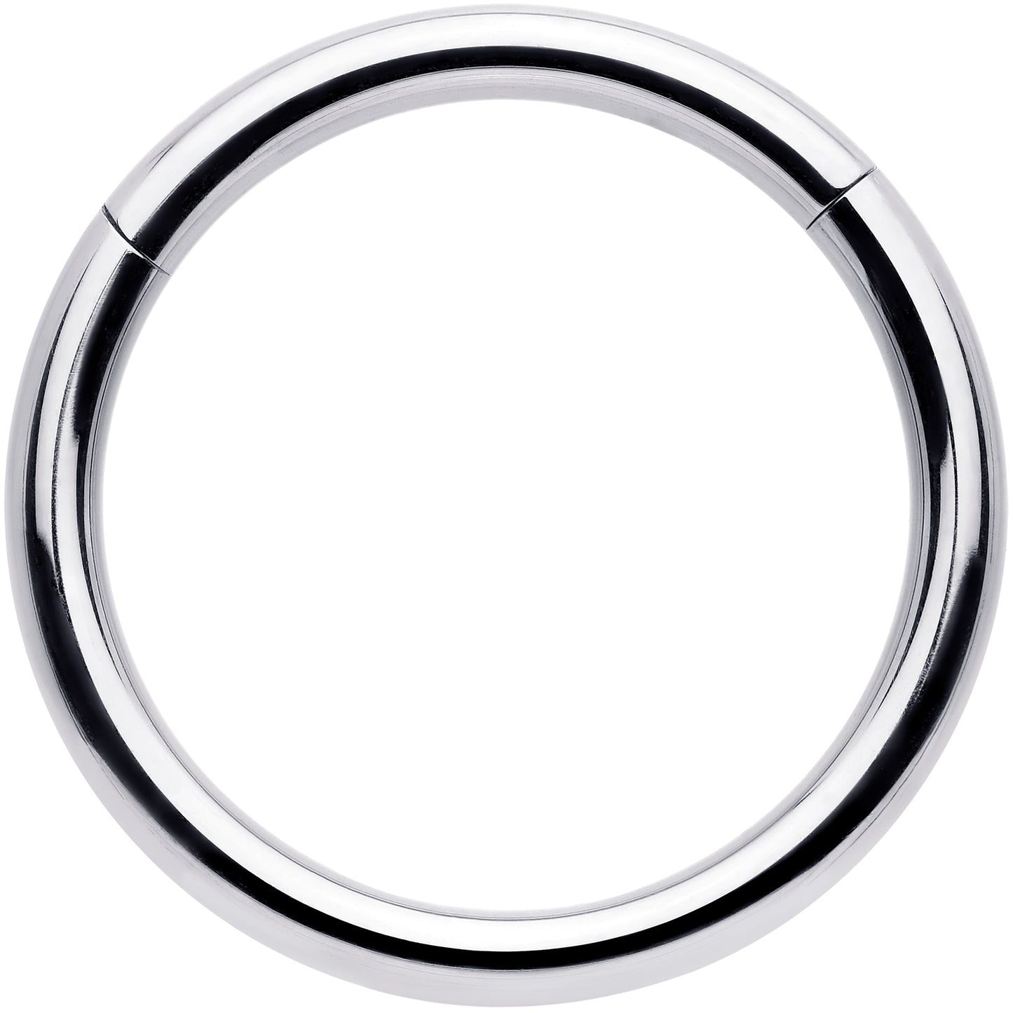 12G 5/8 316L Surgical Steel Precision Hinged Segment Hoop