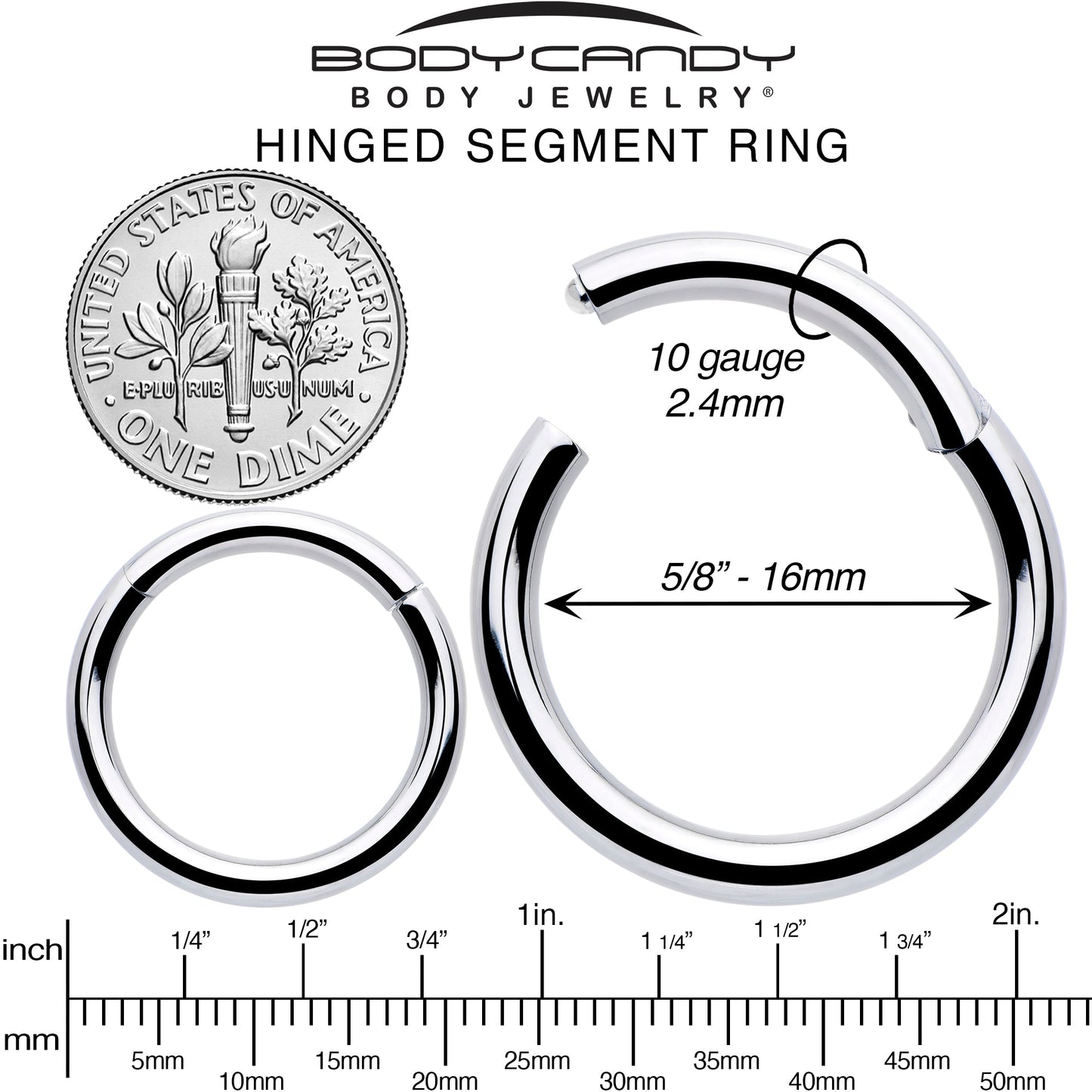 10G 5/8 316L Surgical Steel Precision Hinged Segment Hoop