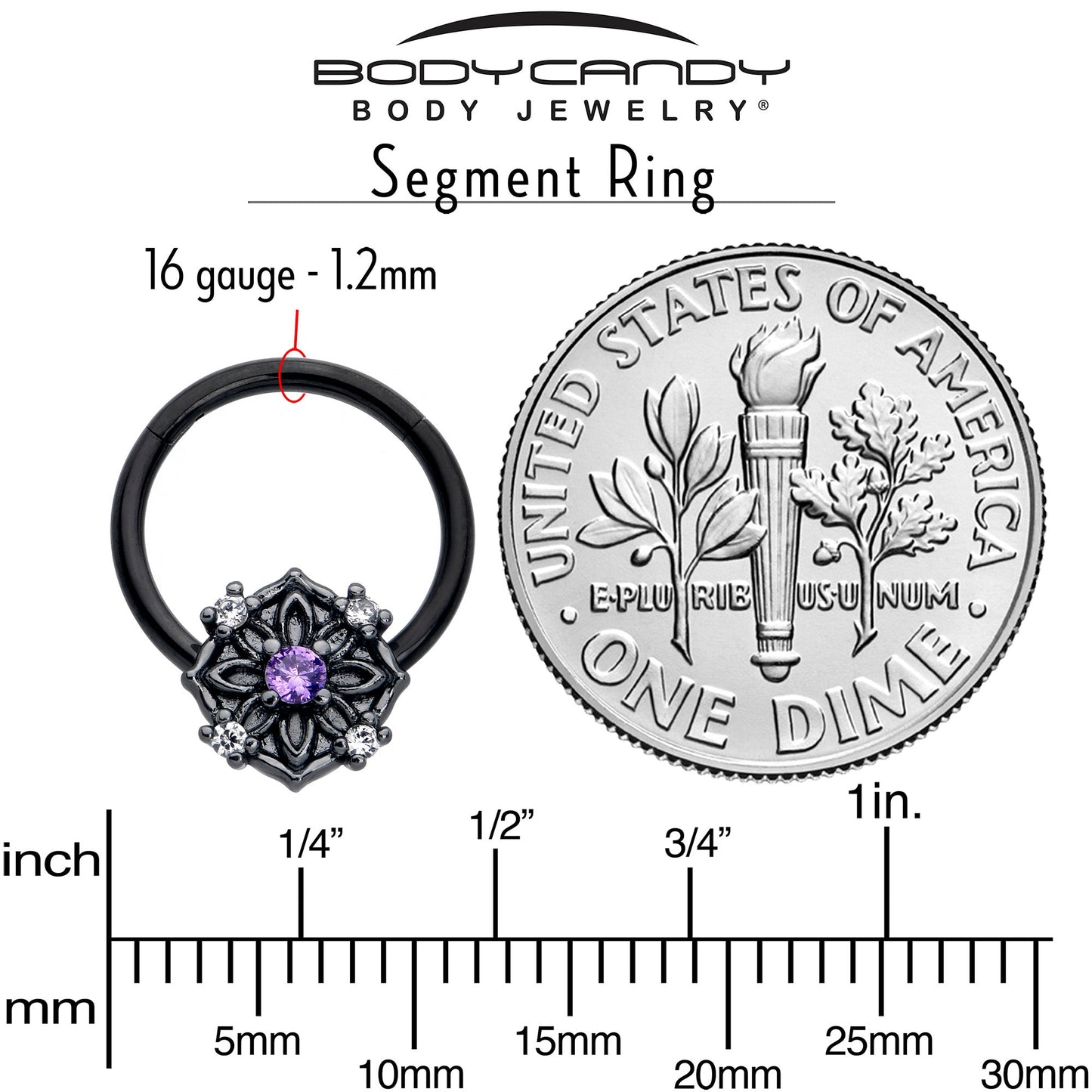 16G 3/8 Purple CZ Gem Black Flower Ring Hinged Segment Ring