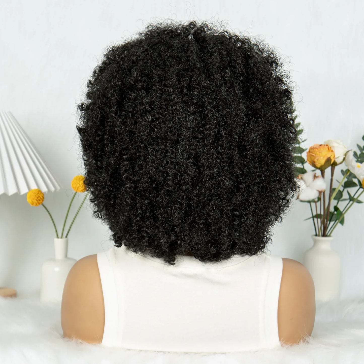 Bouncy Afro Cornrow Full Lace Braided Wig | Synthetic Braids | Black Women