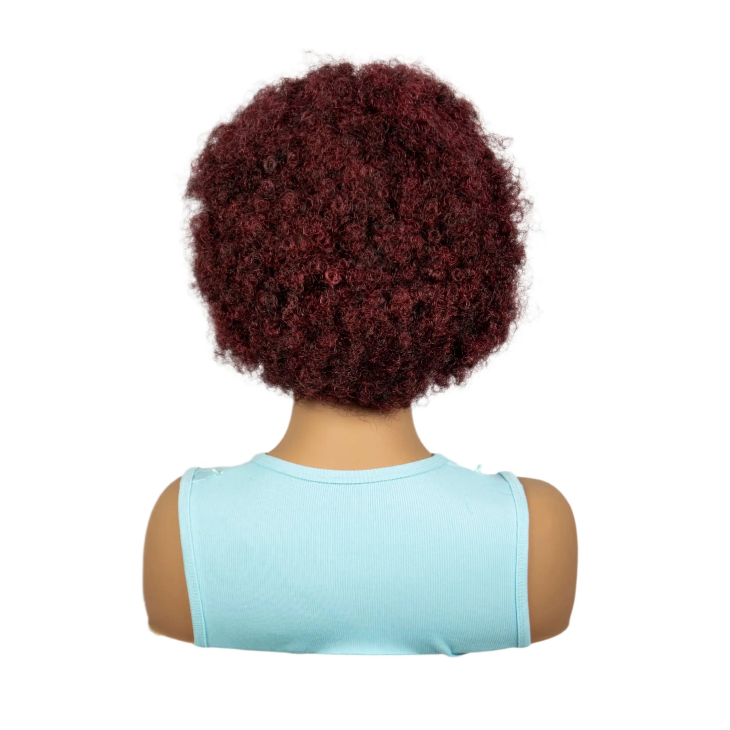8" Natural Afro Kinky Curly Braids Wig | 13x6 Lace | Baby Hair | Bouncy Curls