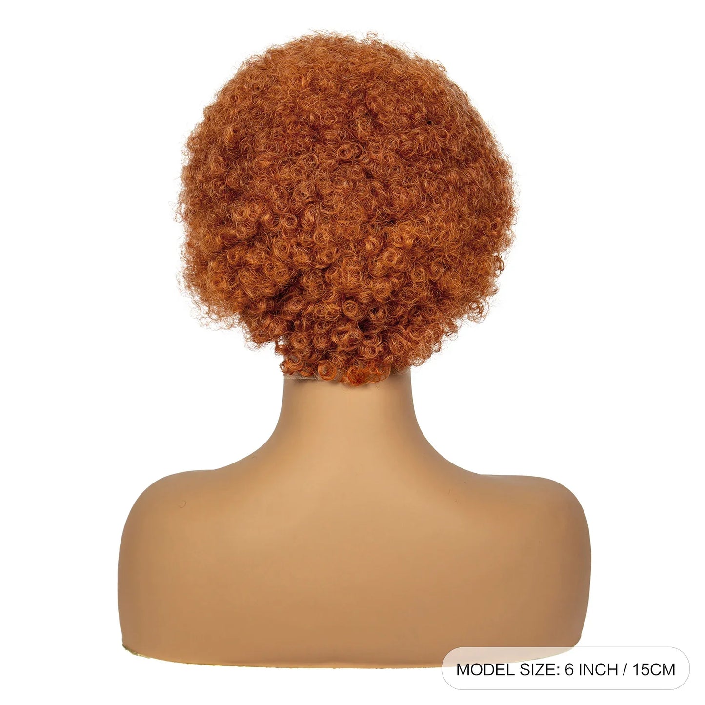 4-30 Color Synthetic Braided Wig | 13x4 Transparent Lace Front Short Afro Kinky Curly Knotless Braids