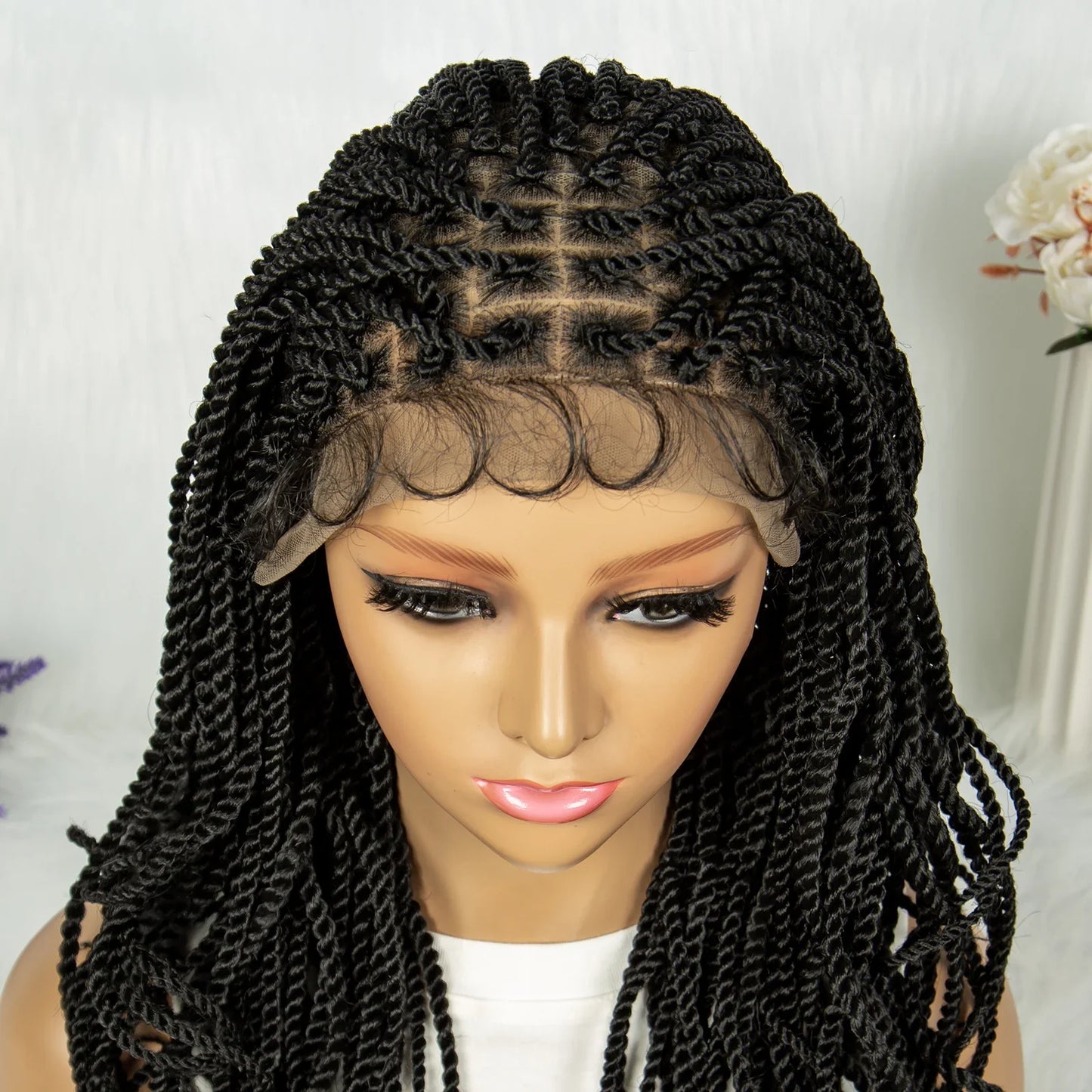 New HD Transparent Full Lace Braided Wig