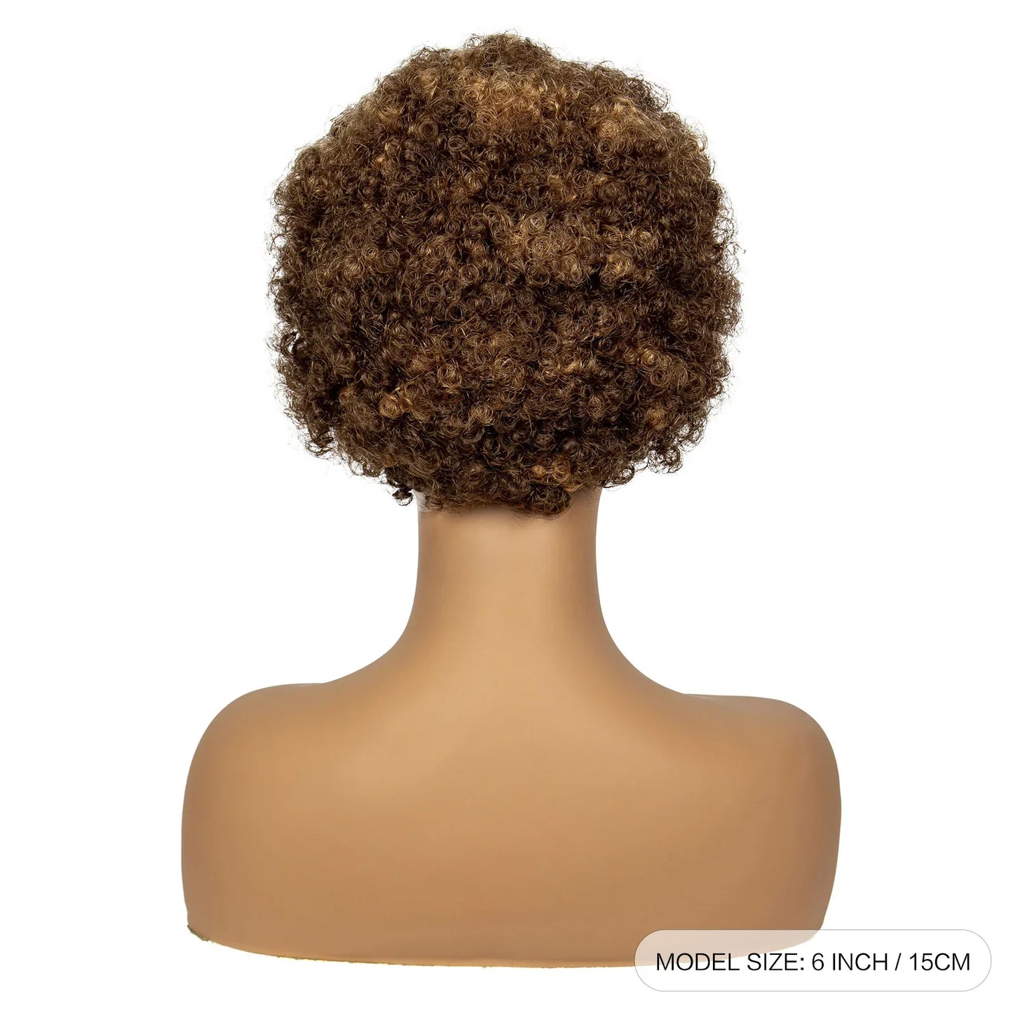 4-30 Color Synthetic Braided Wig | 13x4 Transparent Lace Front Short Afro Kinky Curly Knotless Braids