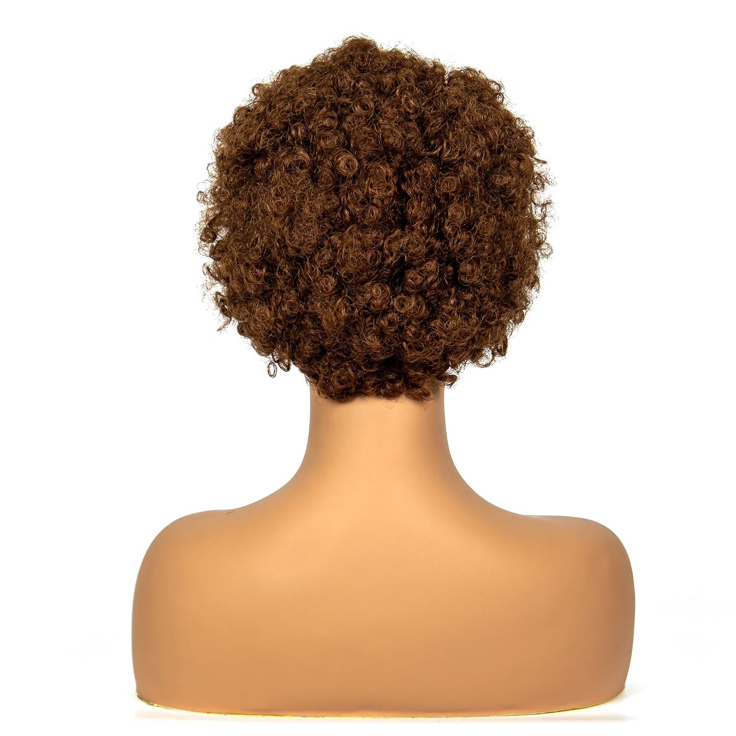 4-30 Color Synthetic Braided Wig | 13x4 Transparent Lace Front Short Afro Kinky Curly Knotless Braids