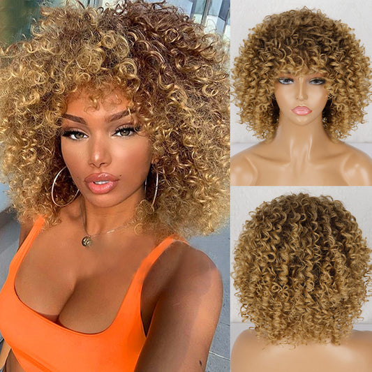 Synthetic Afro Curly Wig African Wigs