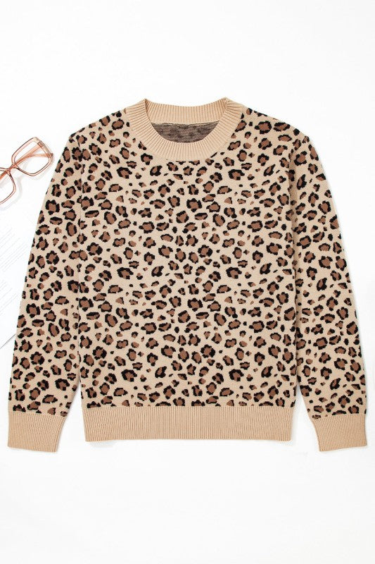 Leopard Contrast Trim Dolman Sleeve Sweater
