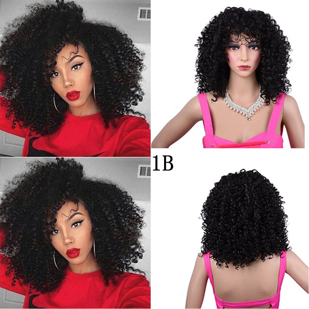 Synthetic Afro Curly Wig African Wigs