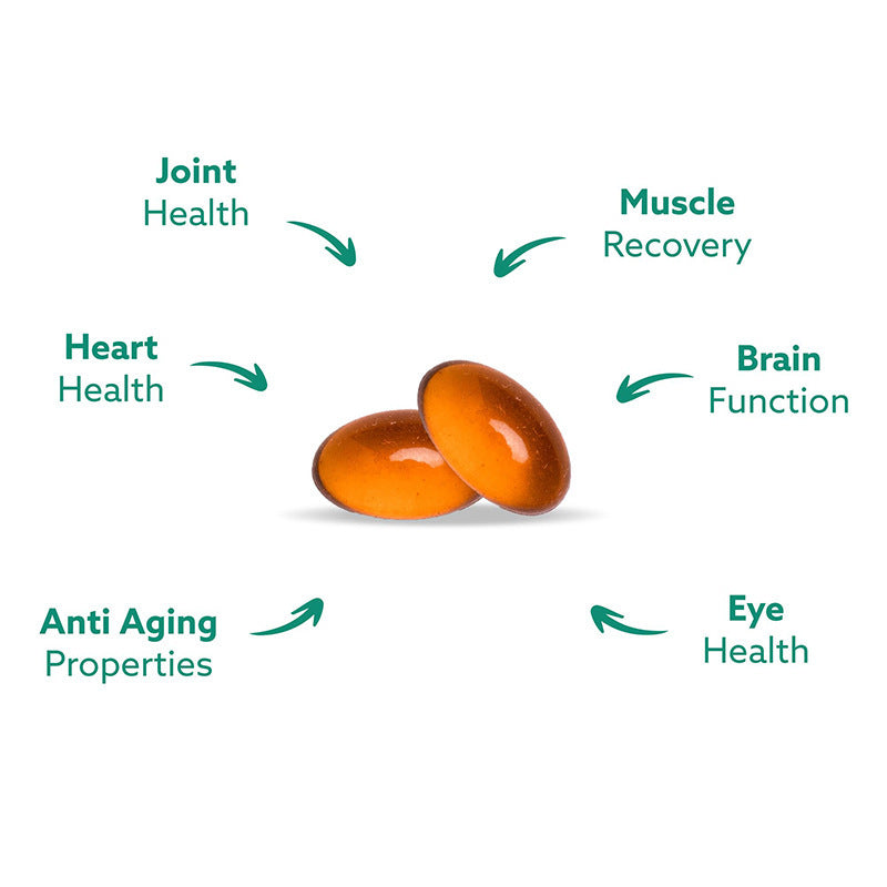 Cross-border Exclusive Green-lipped Mussel Oil Capsules