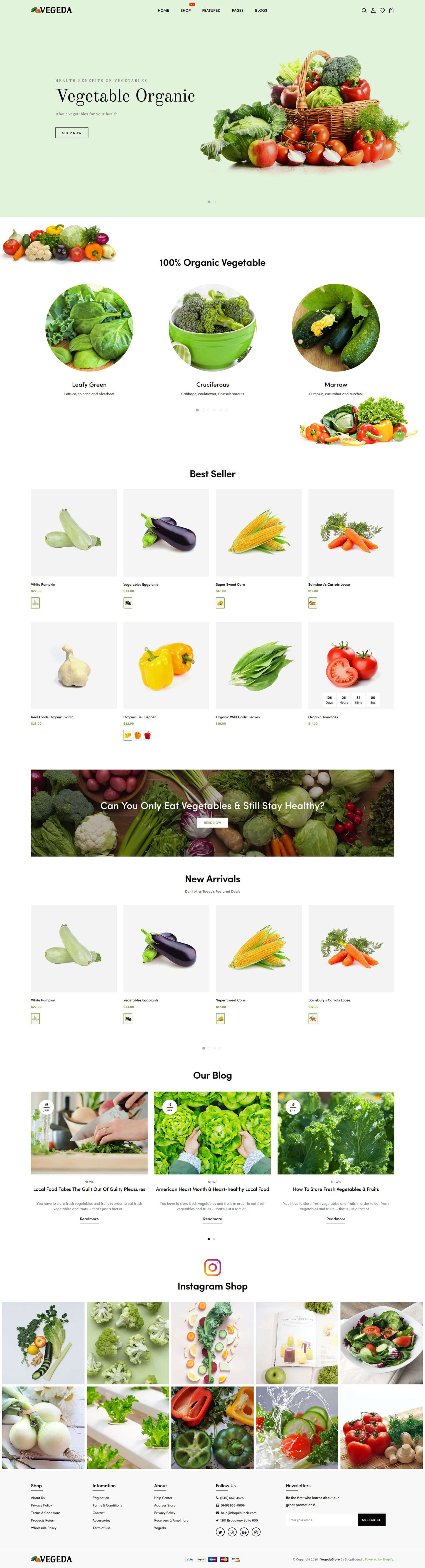 Shopify Theme - Vegeda