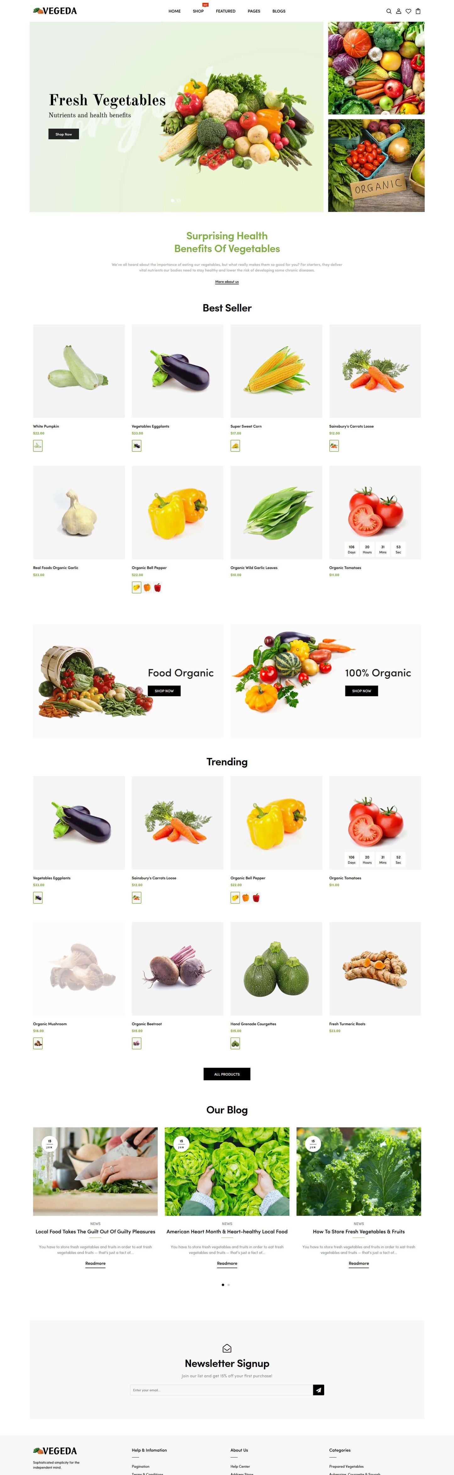 Shopify Theme - Vegeda