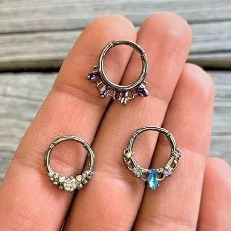 16G 3/8 Clear CZ Gem Classy Circles Hinged Segment Ring